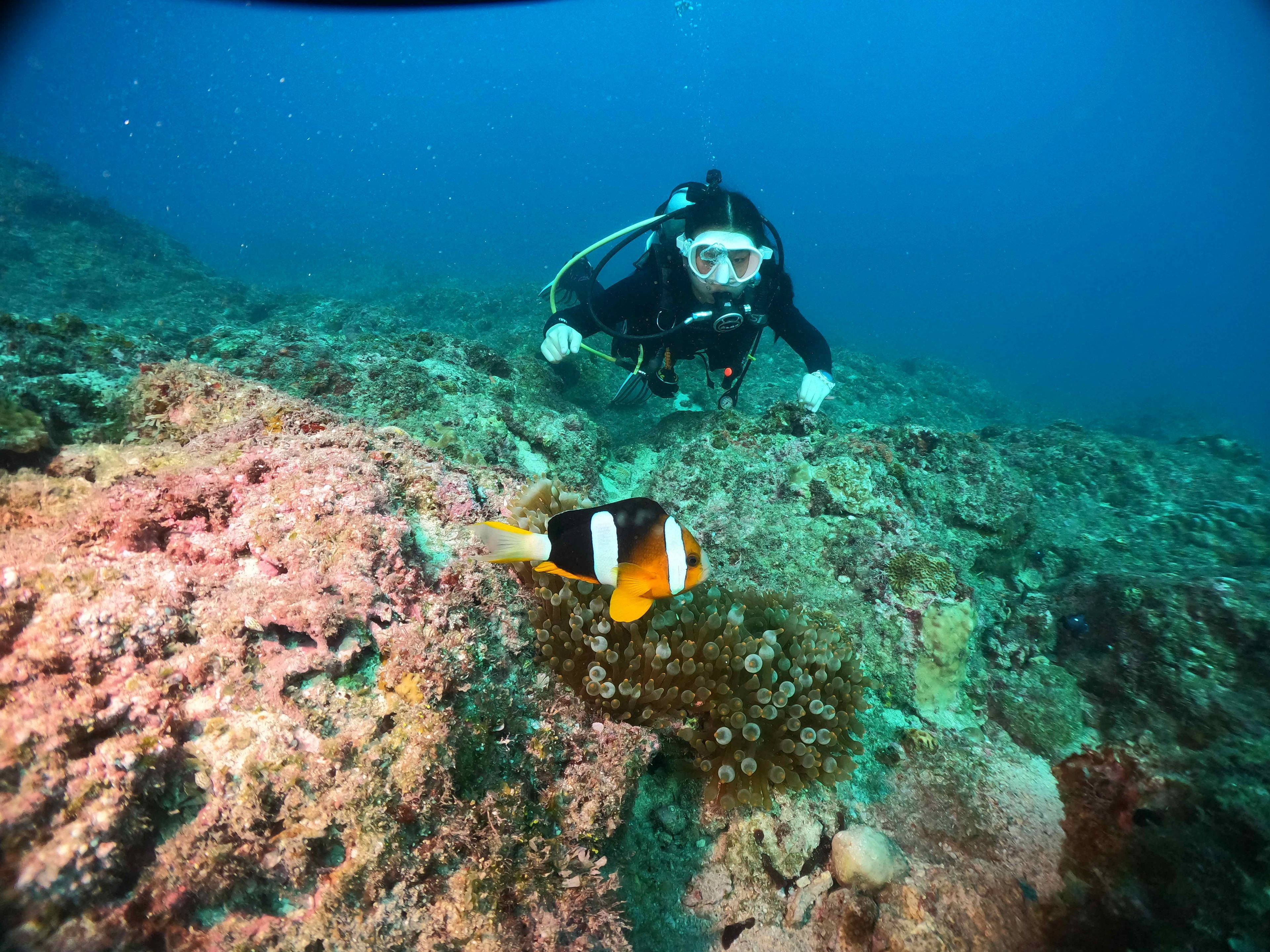Open Water 1
