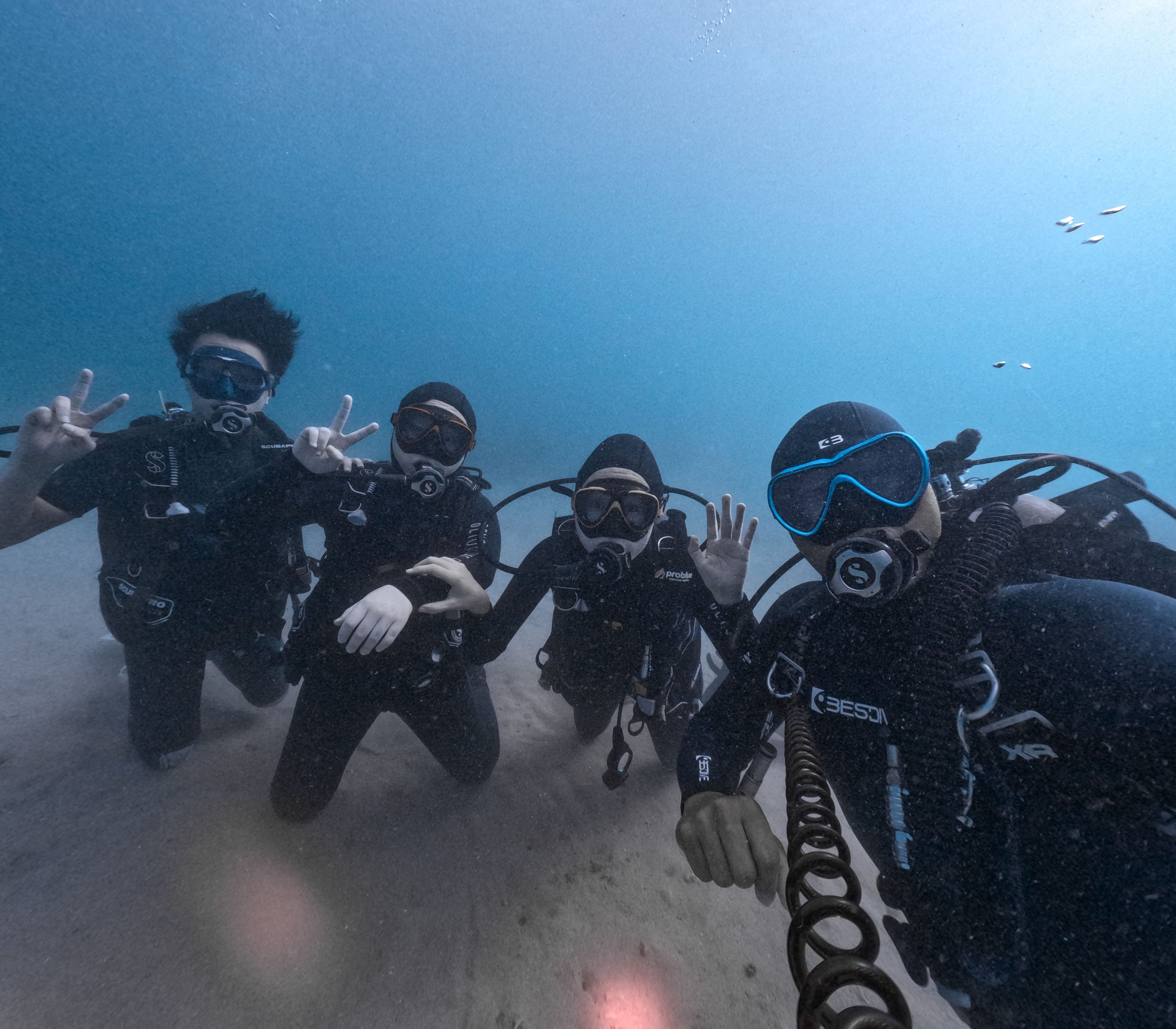 20240609 後壁湖餵魚區