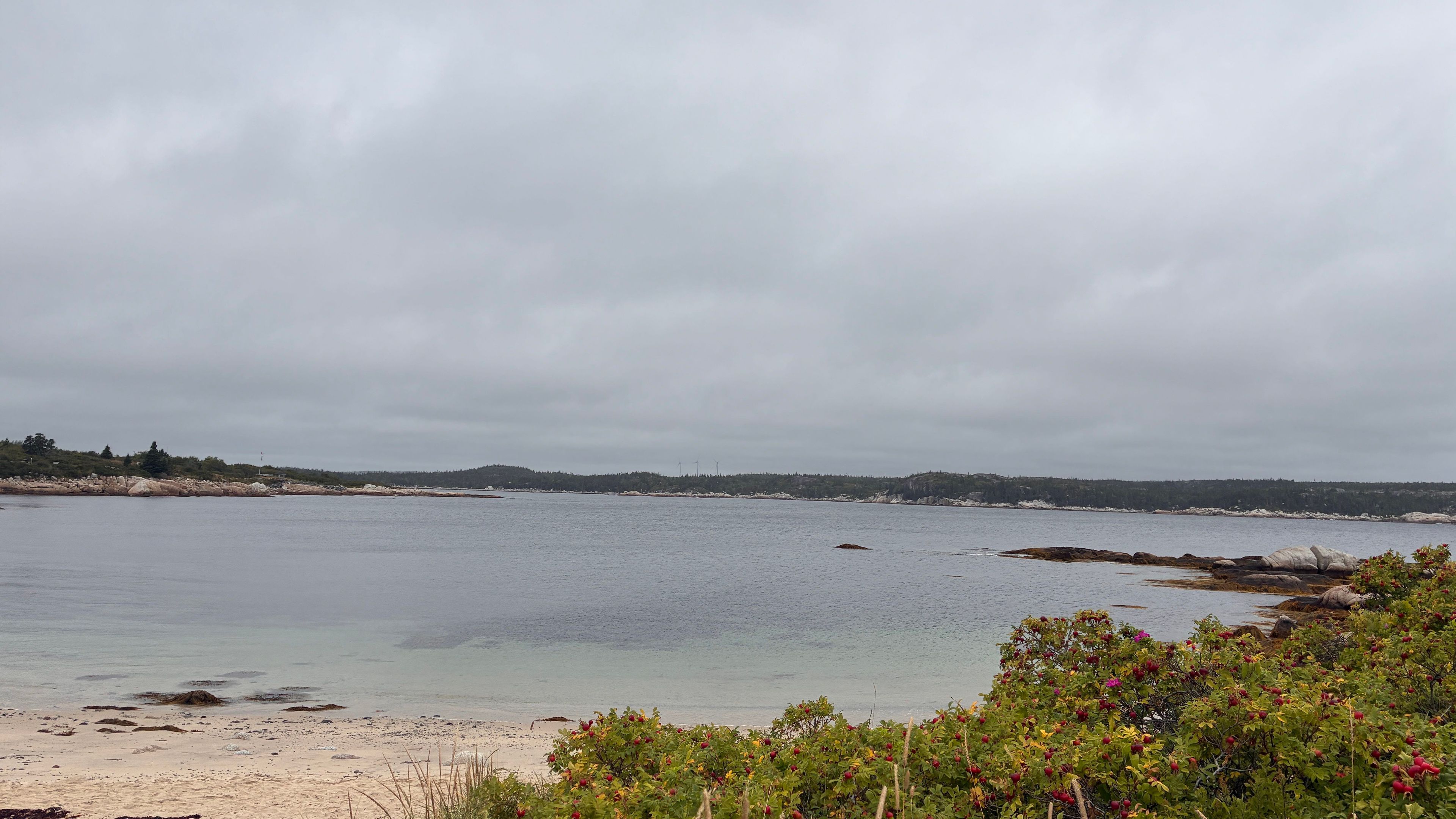 Sandy Cove - Kyle