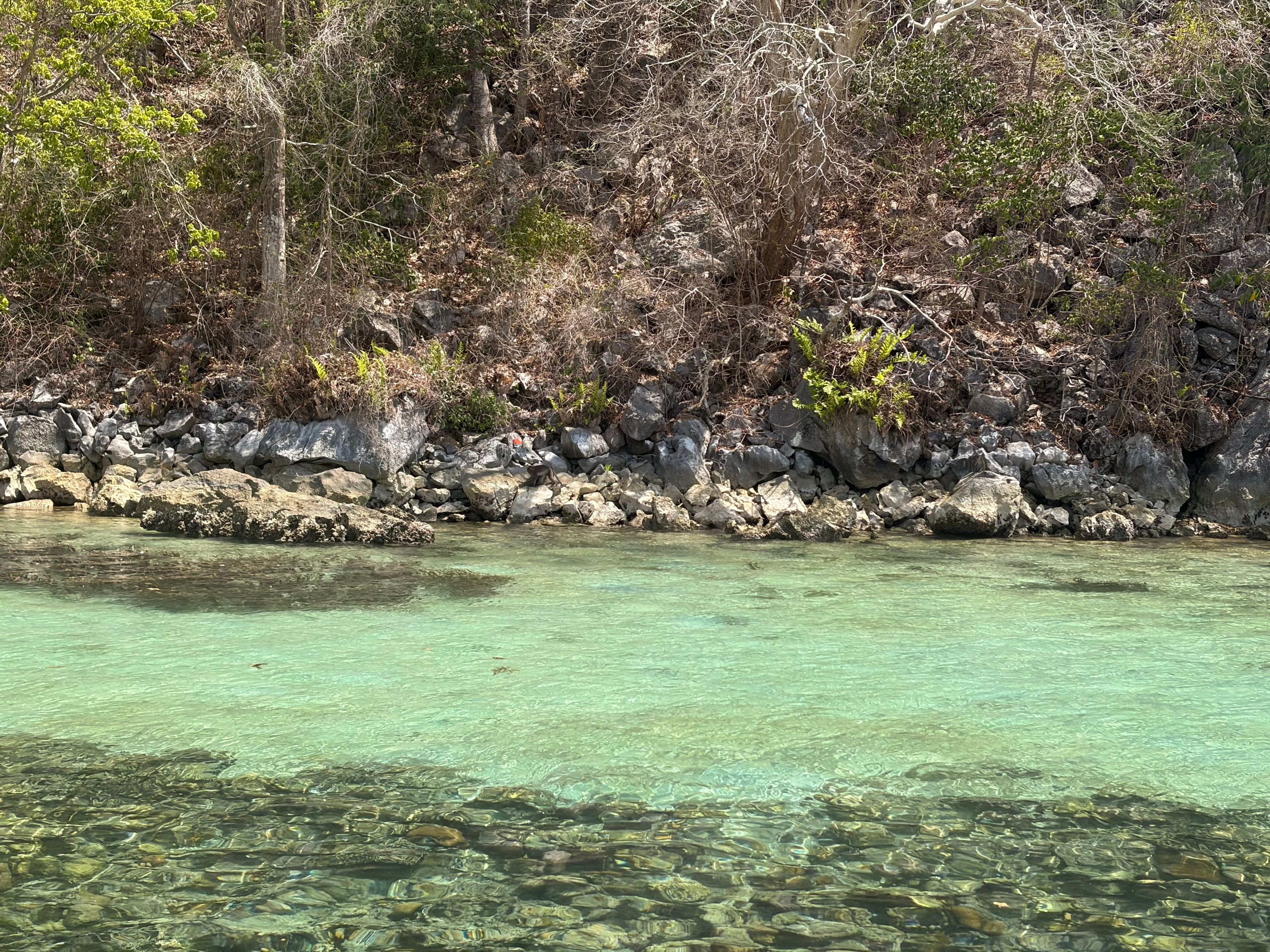 Scuba diving at East tangat boat