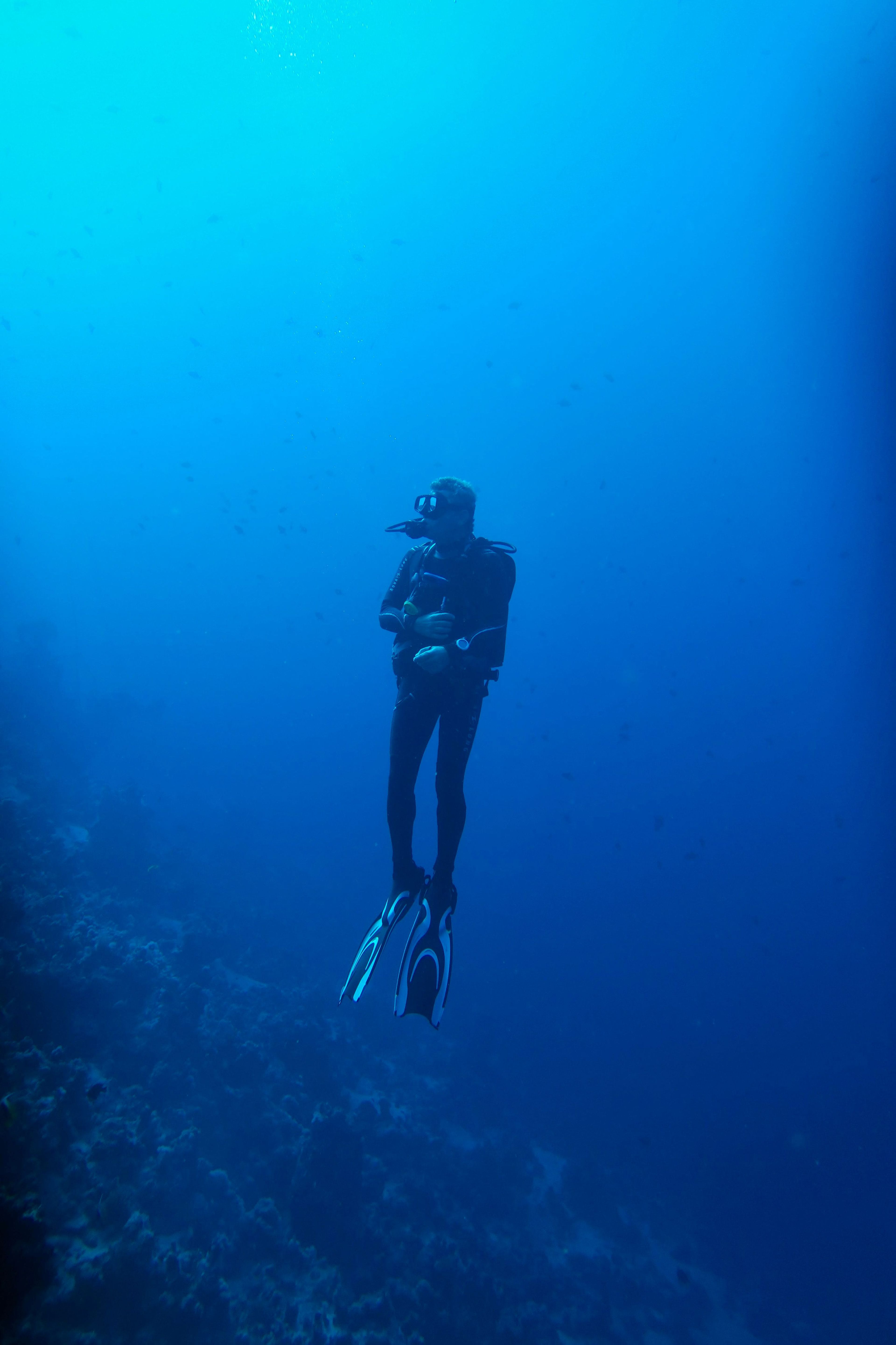 EldarDive