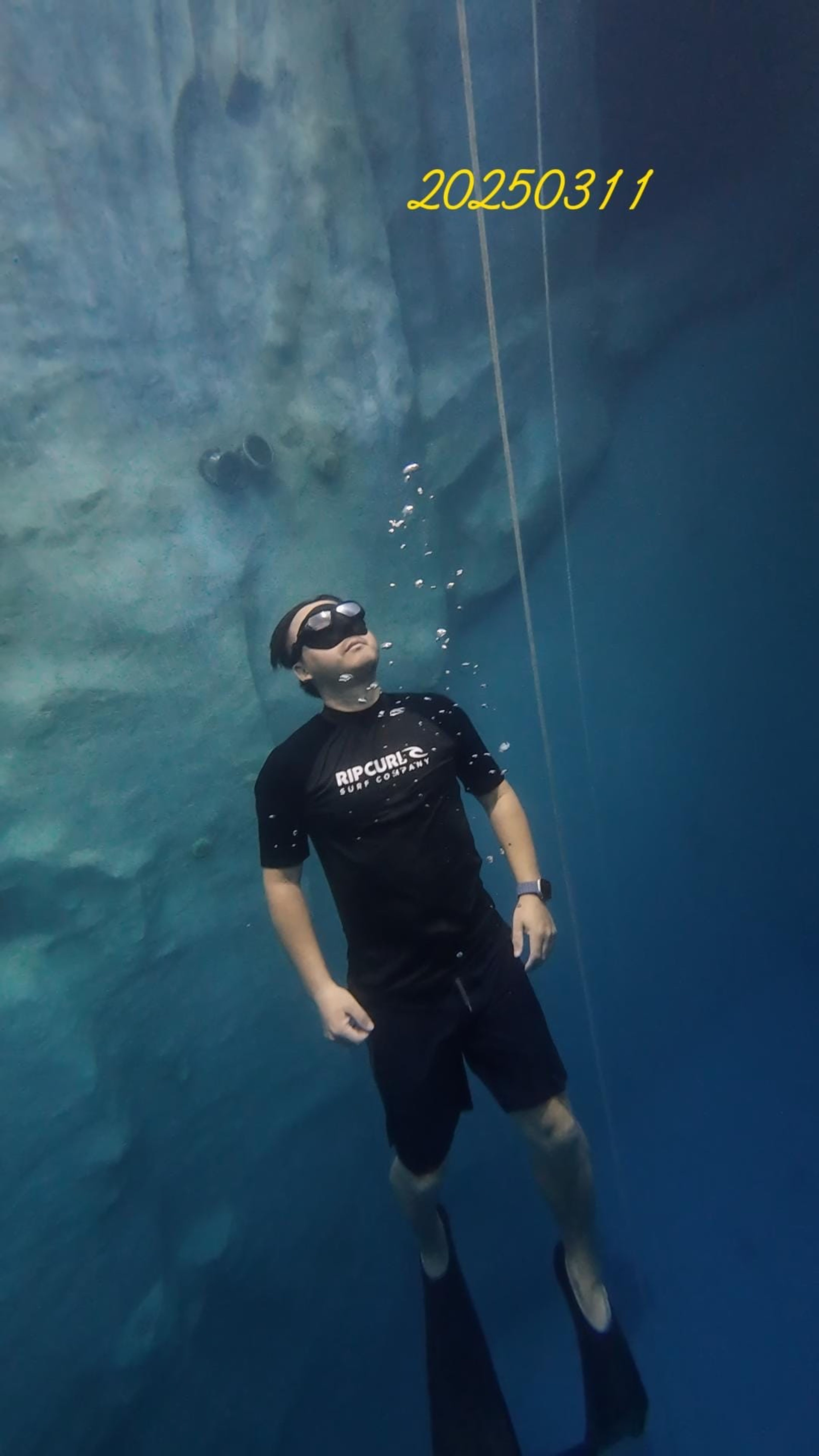 诠伟's dive log