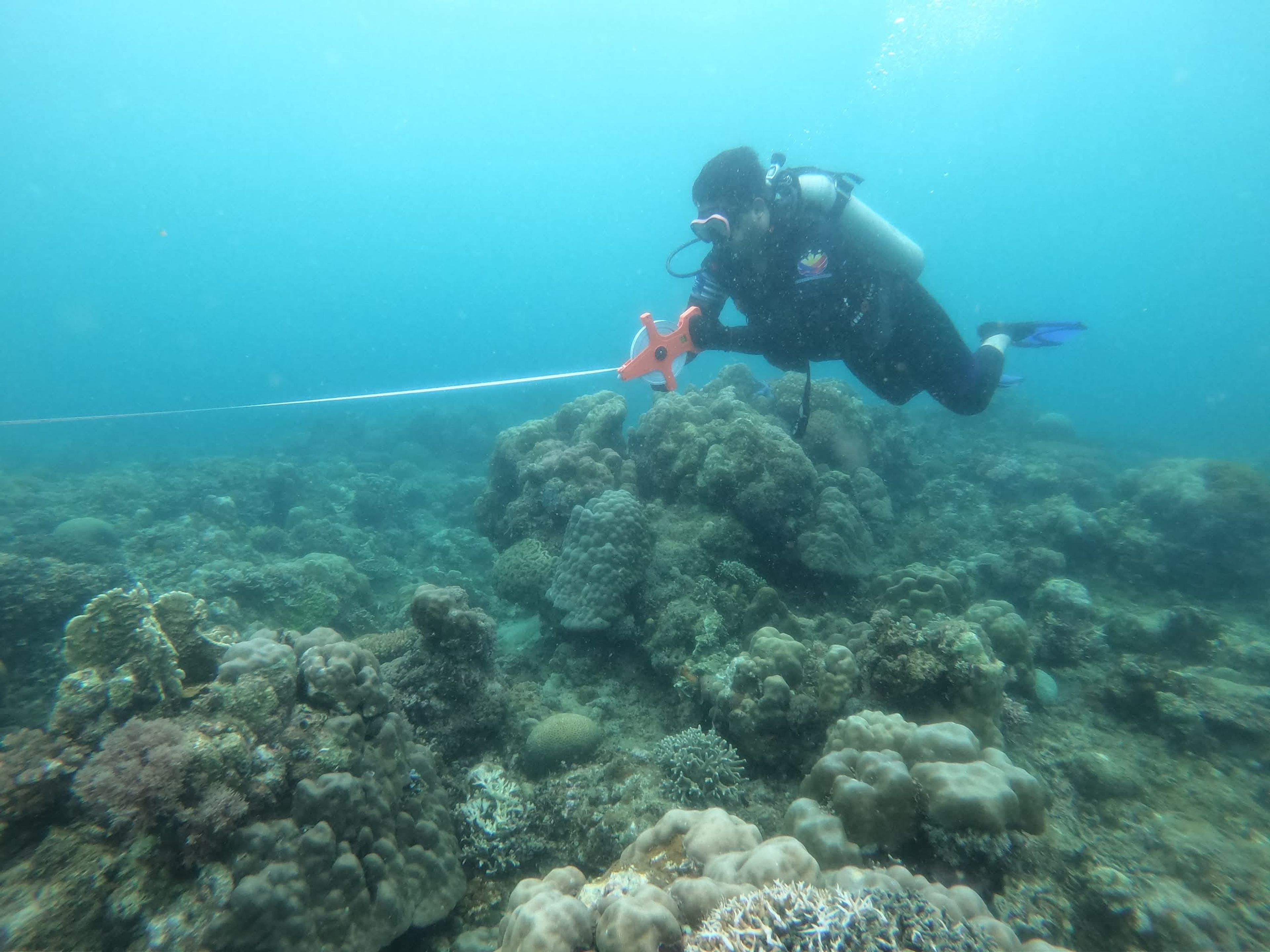 John Lloyd Domingo's dive log