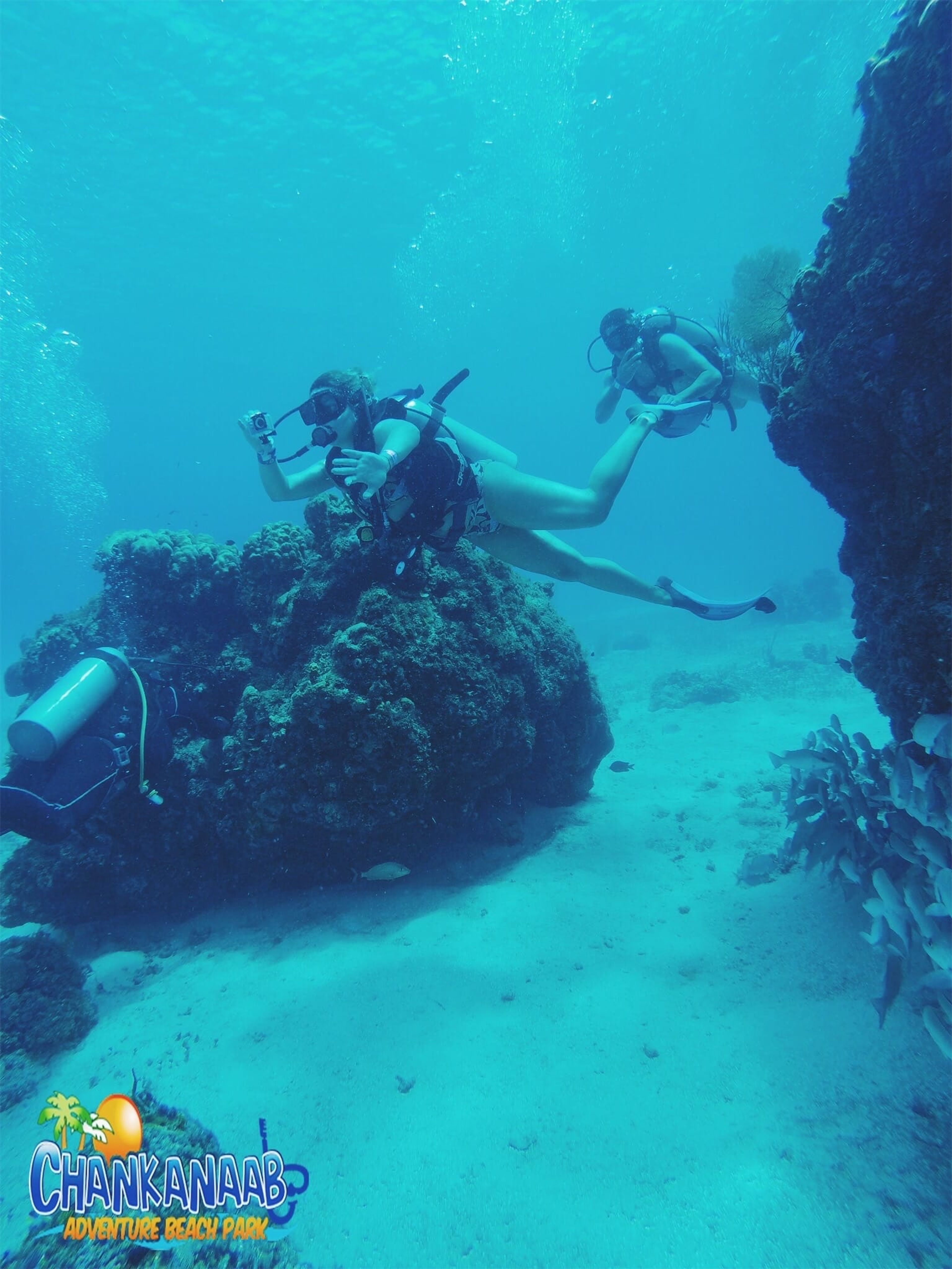 Scuba diving at Chankanaab Shallows