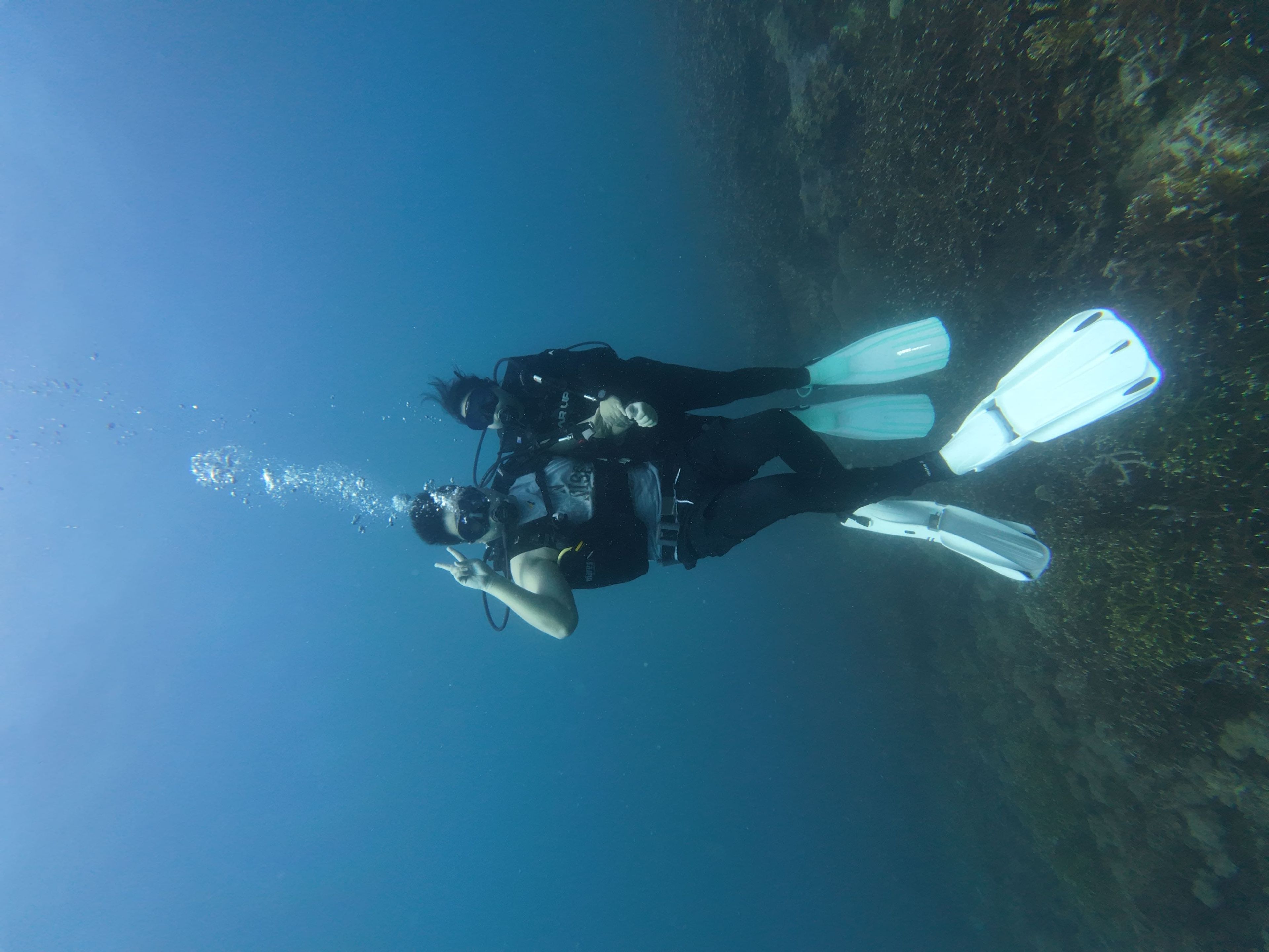 Single-Gas Dive