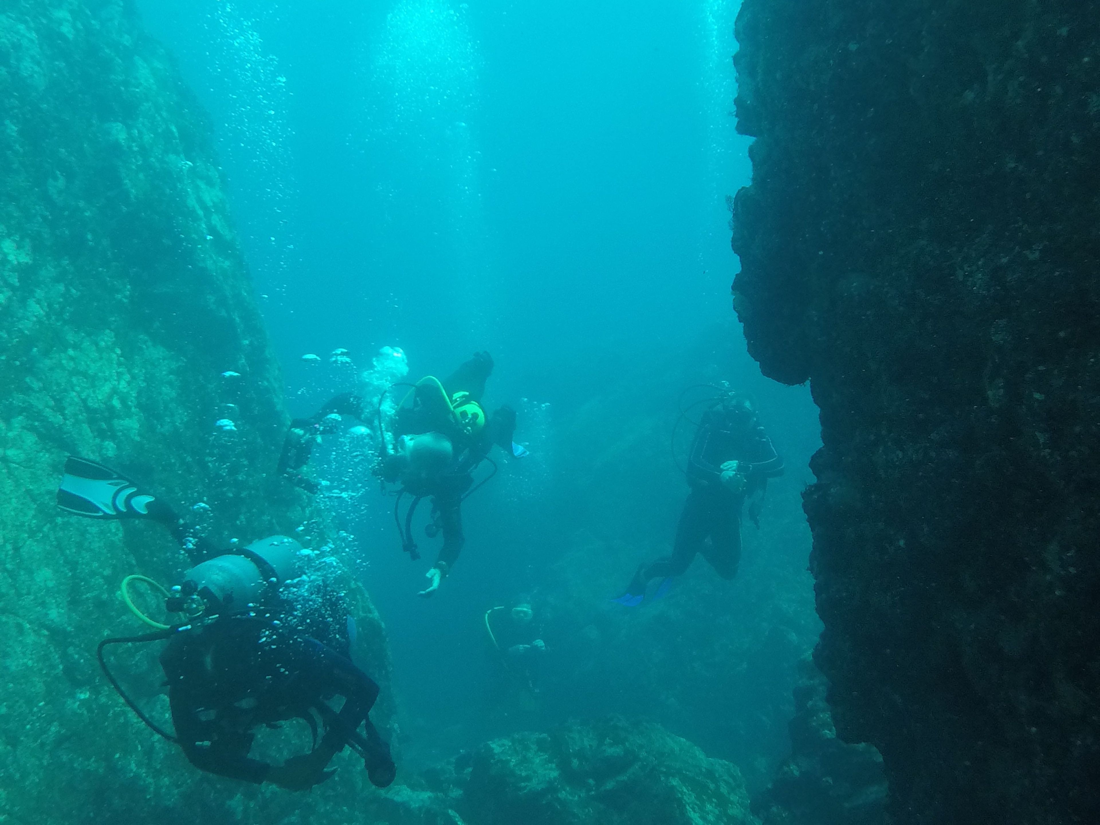 FERNANDO HERNANDEZ PRADO's dive log
