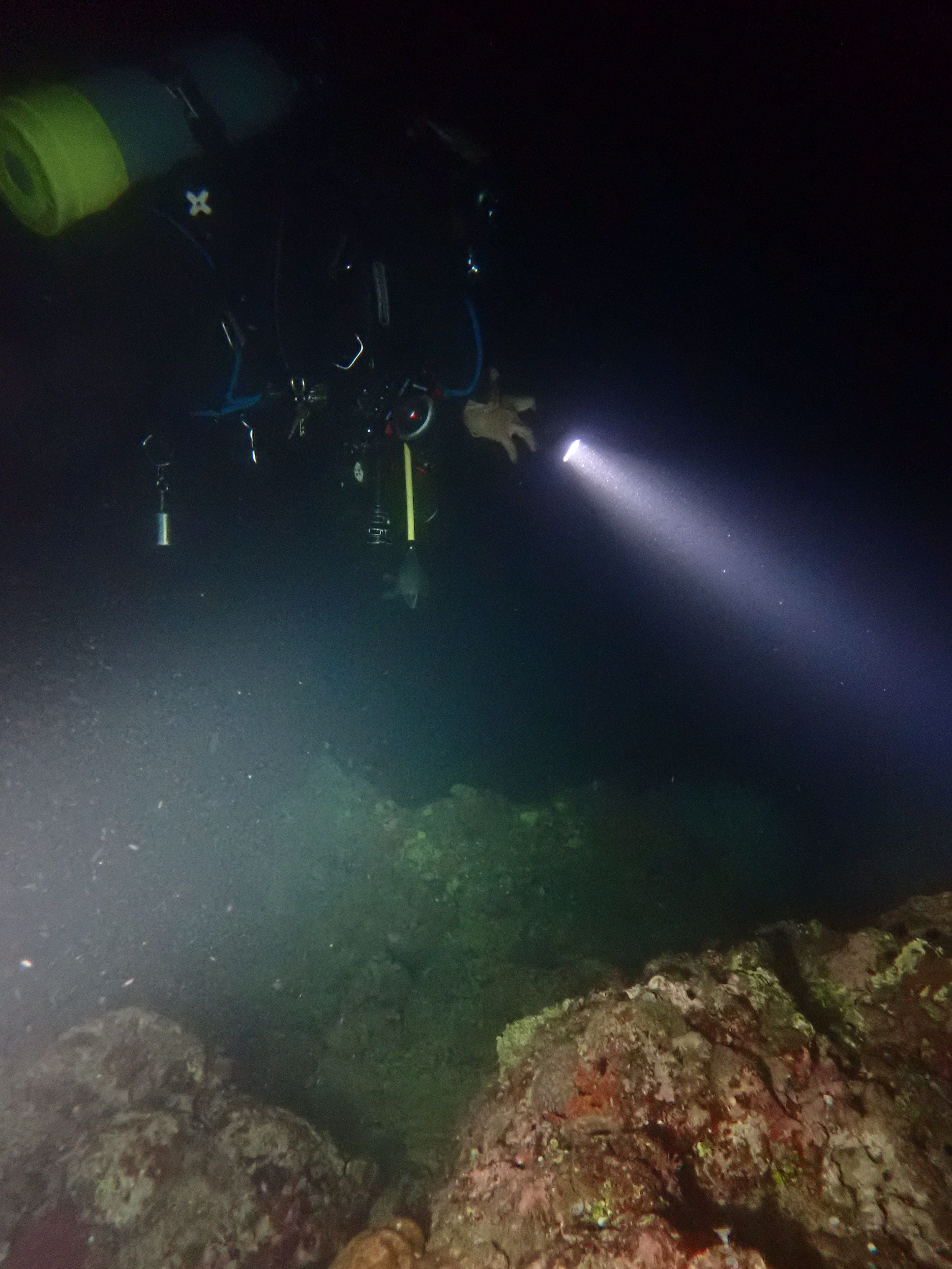 Kenichiro Tanaka's dive log