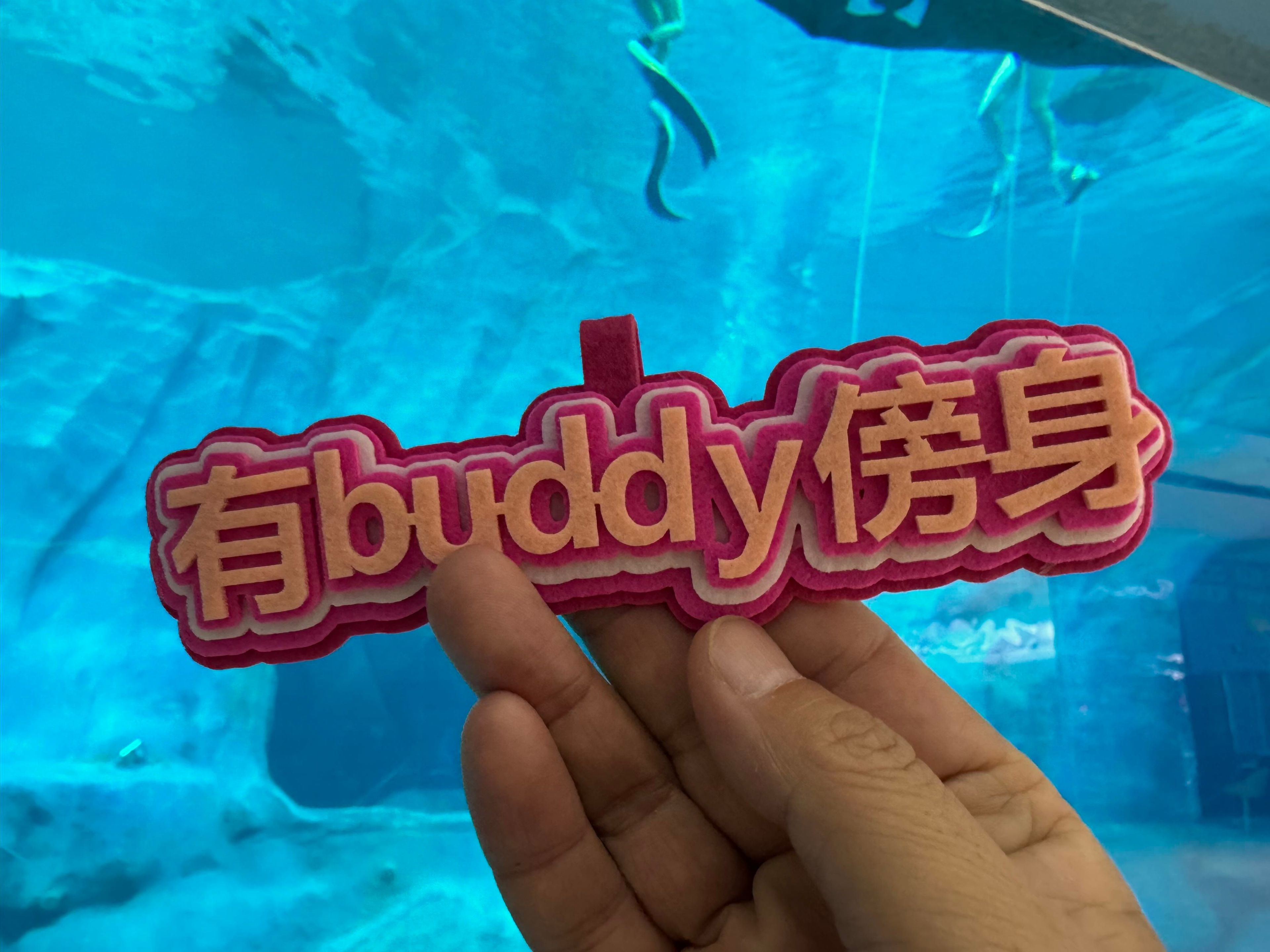 诠伟's dive log