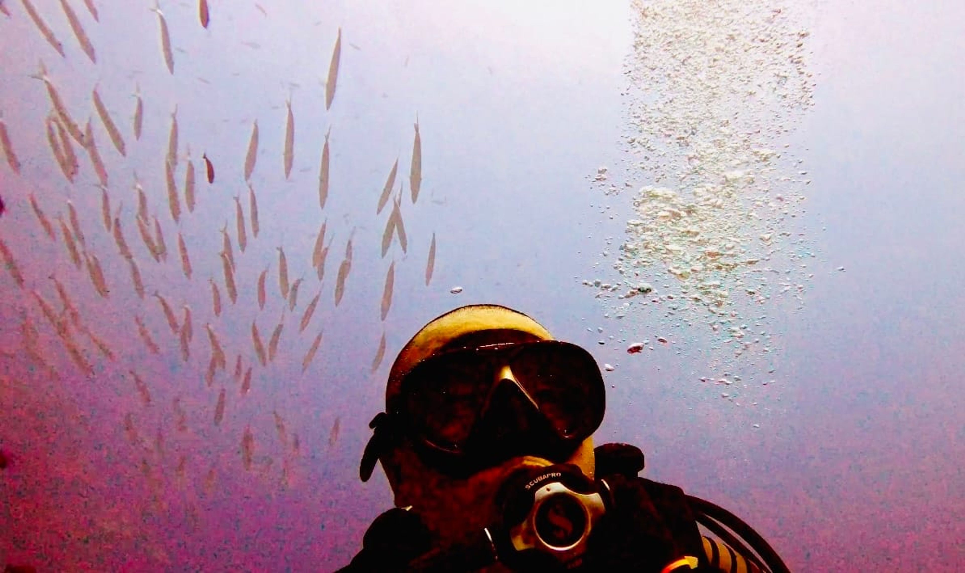 风中散发's dive log