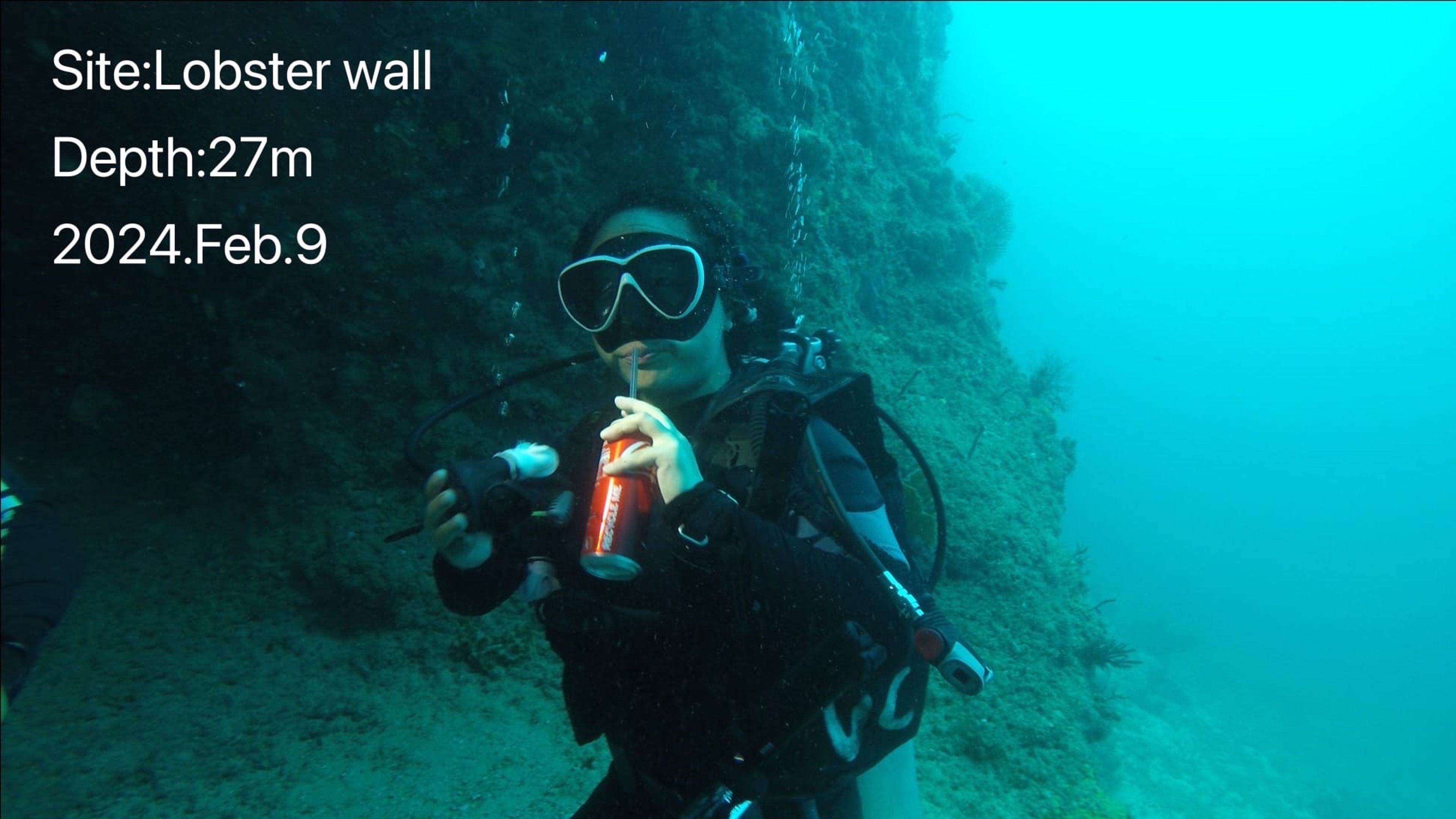 Scuba diving at Lobster Wall