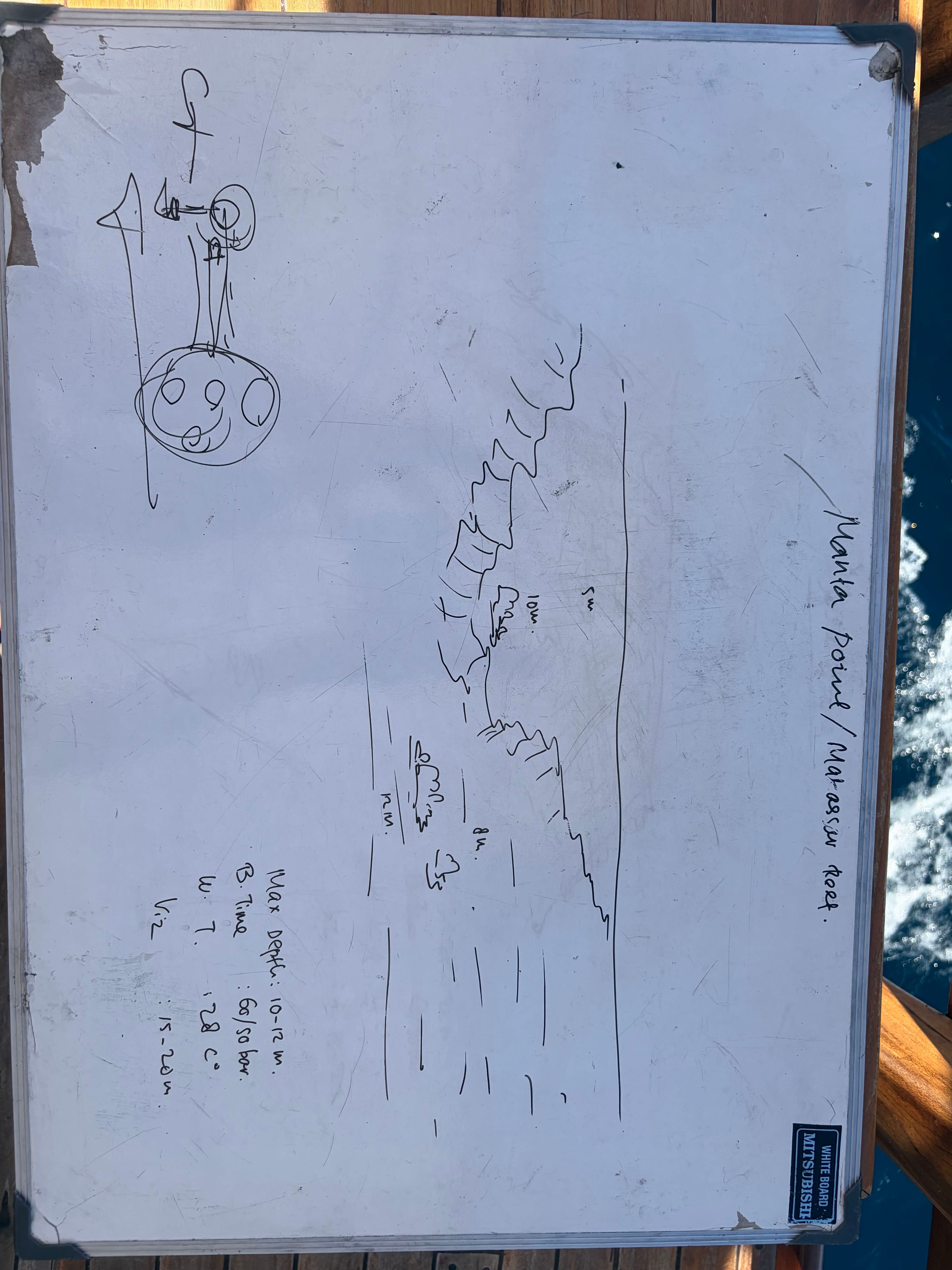 Scuba diving at Manta Point