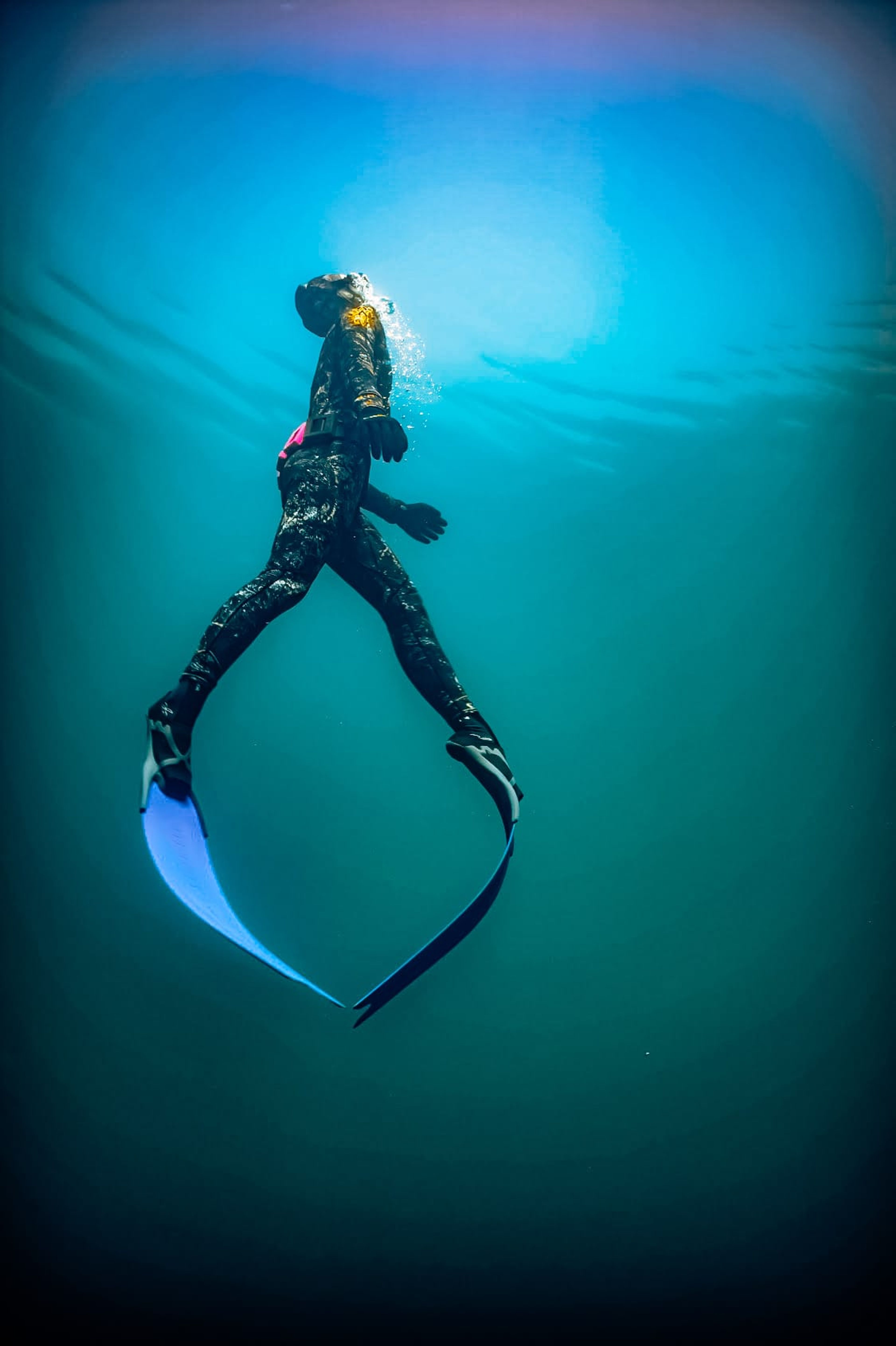 Sasa Kralovanska's dive log