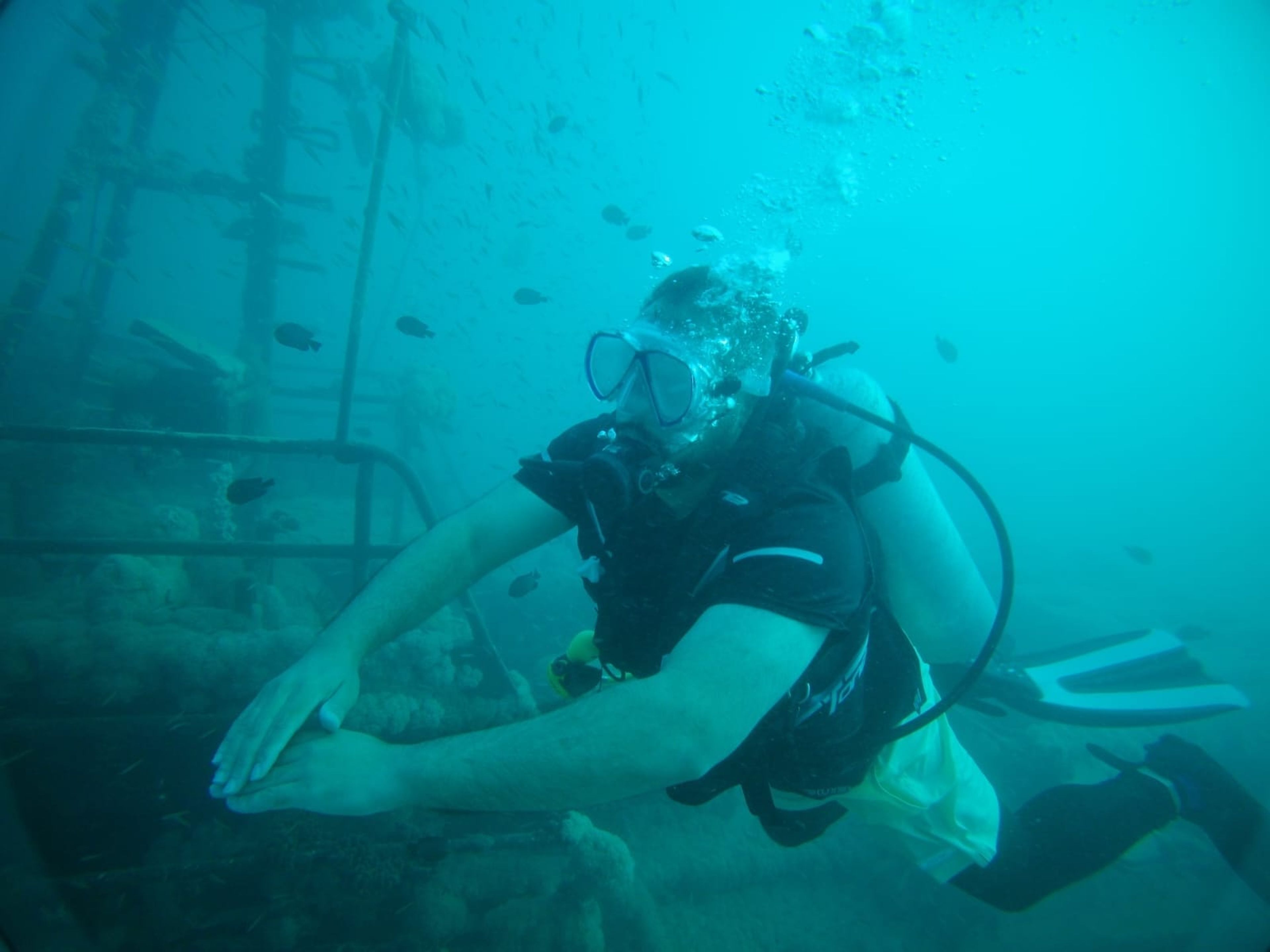 Sultan Saeedi's dive log