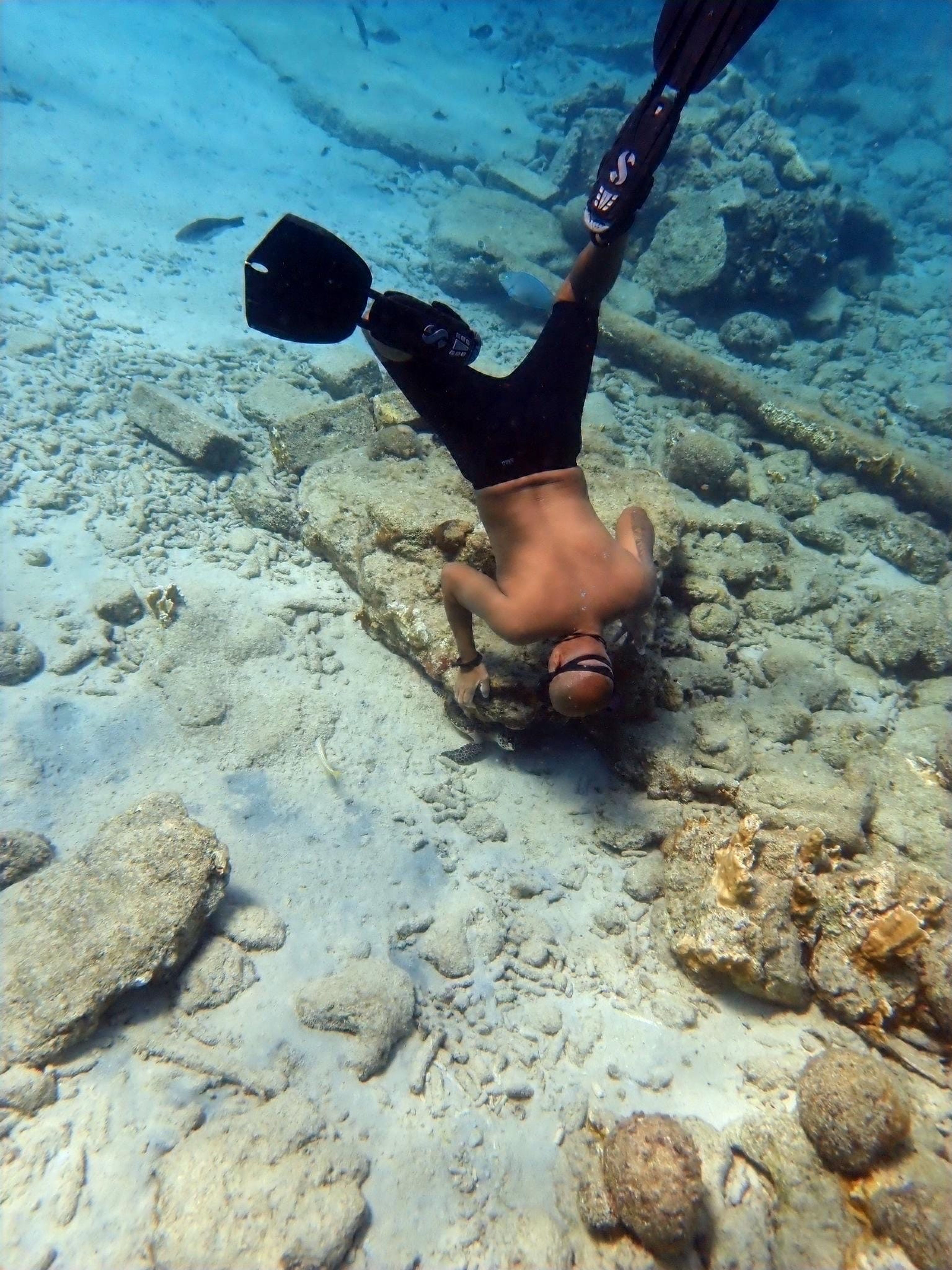Darcy's dive log