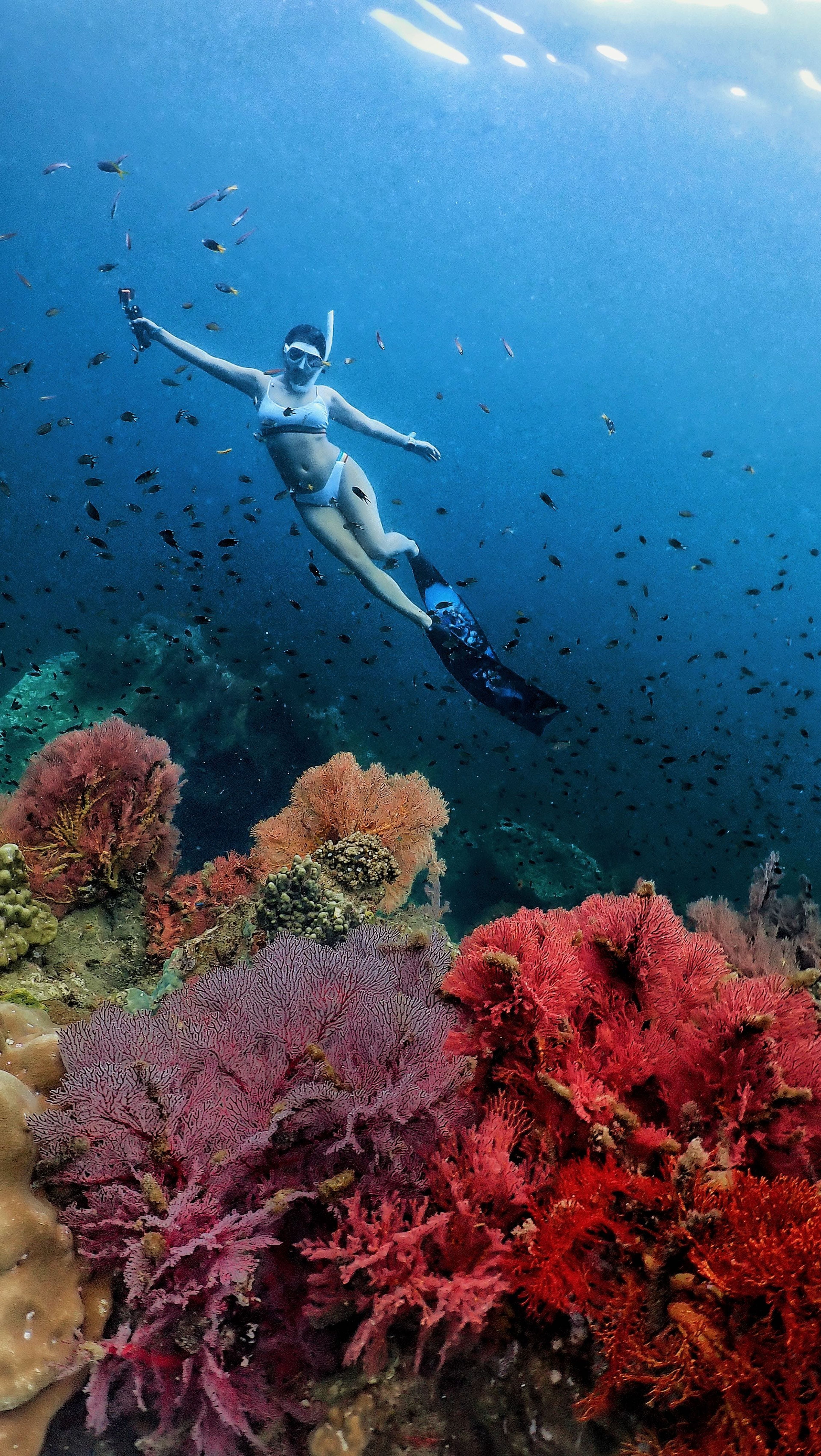 Guide Unn Photographer's dive log