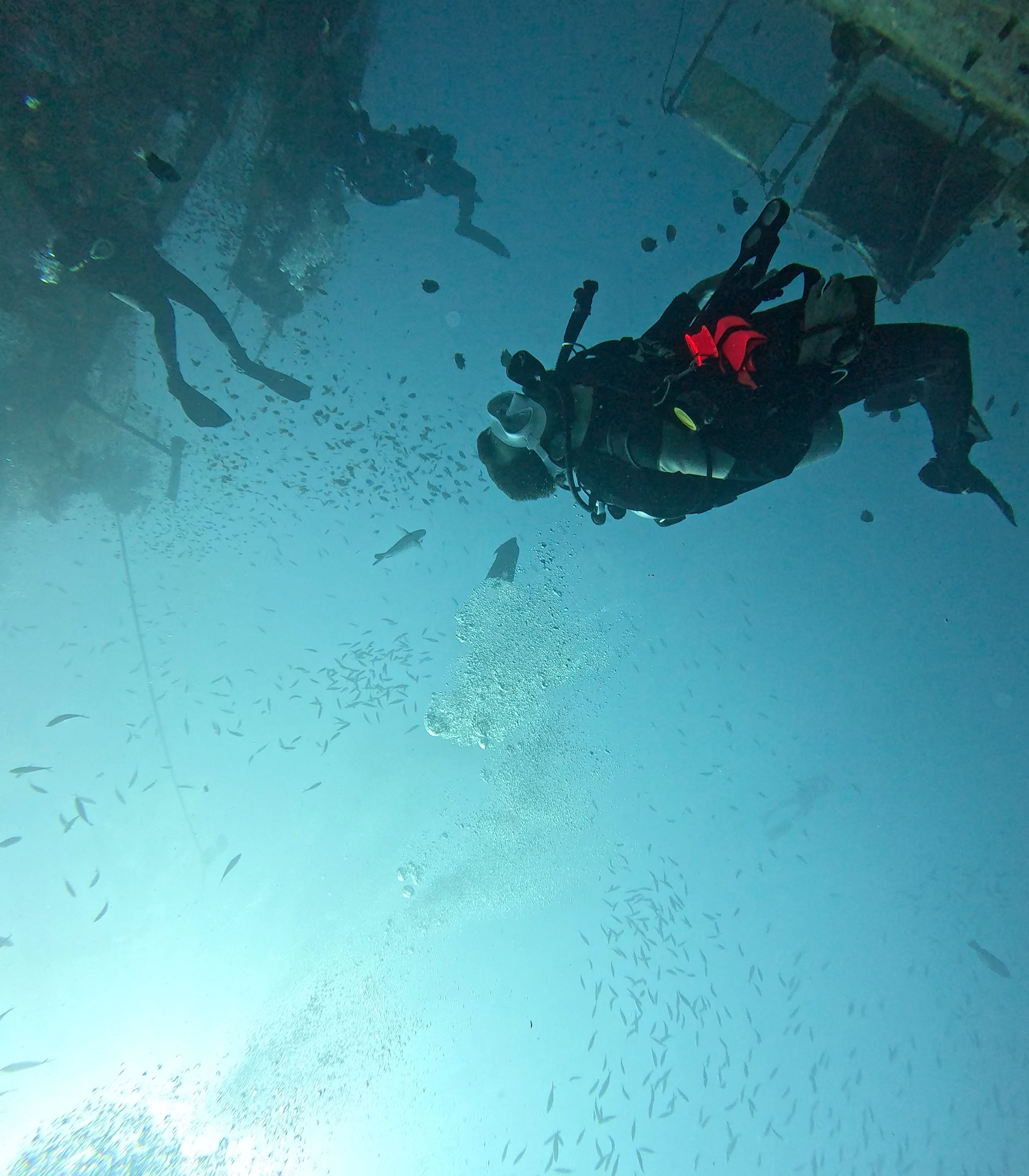 Liron Stettiner's dive log