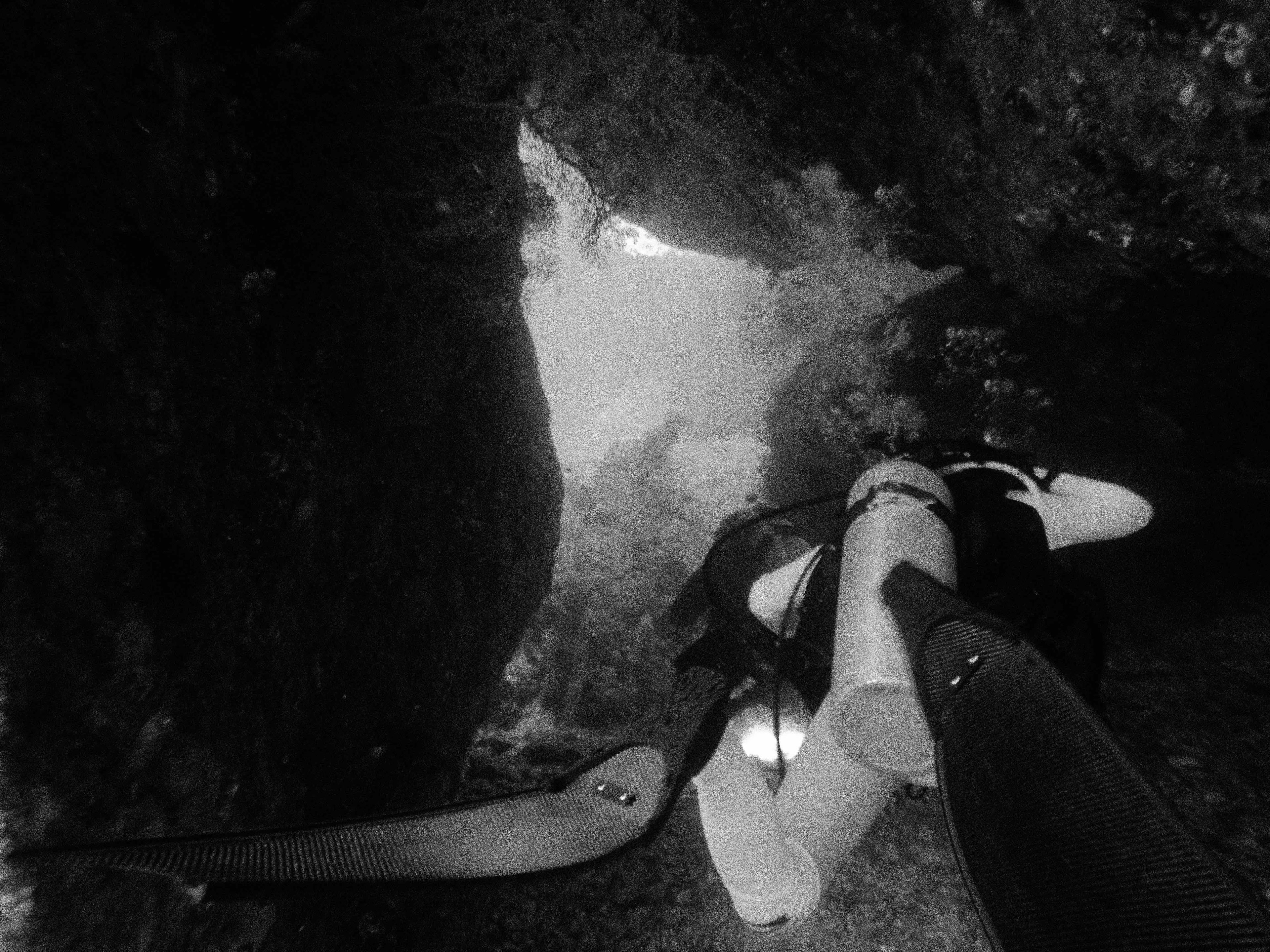 Scuba diving at Turtle Rock
