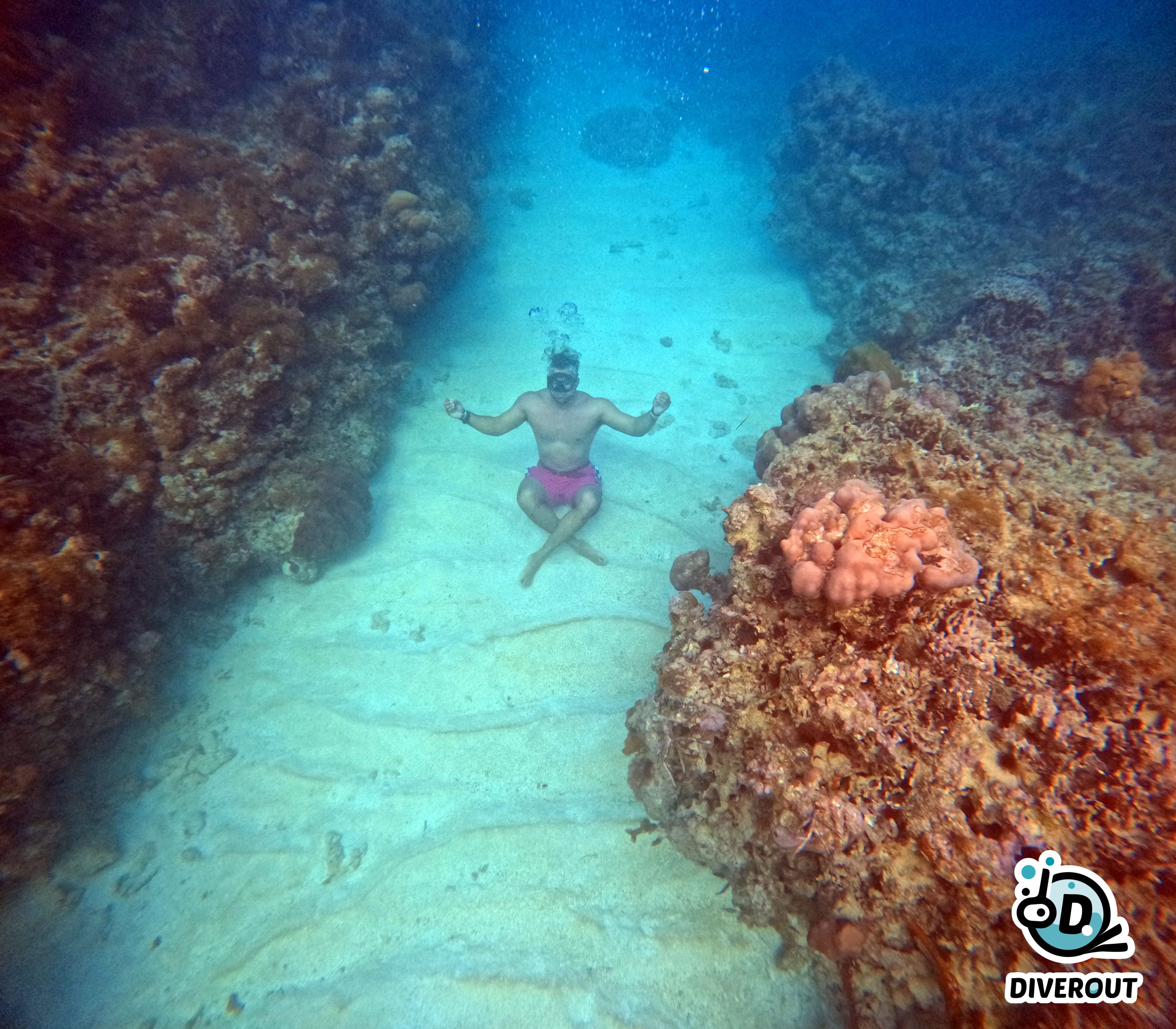 Marcos Di santo's dive log