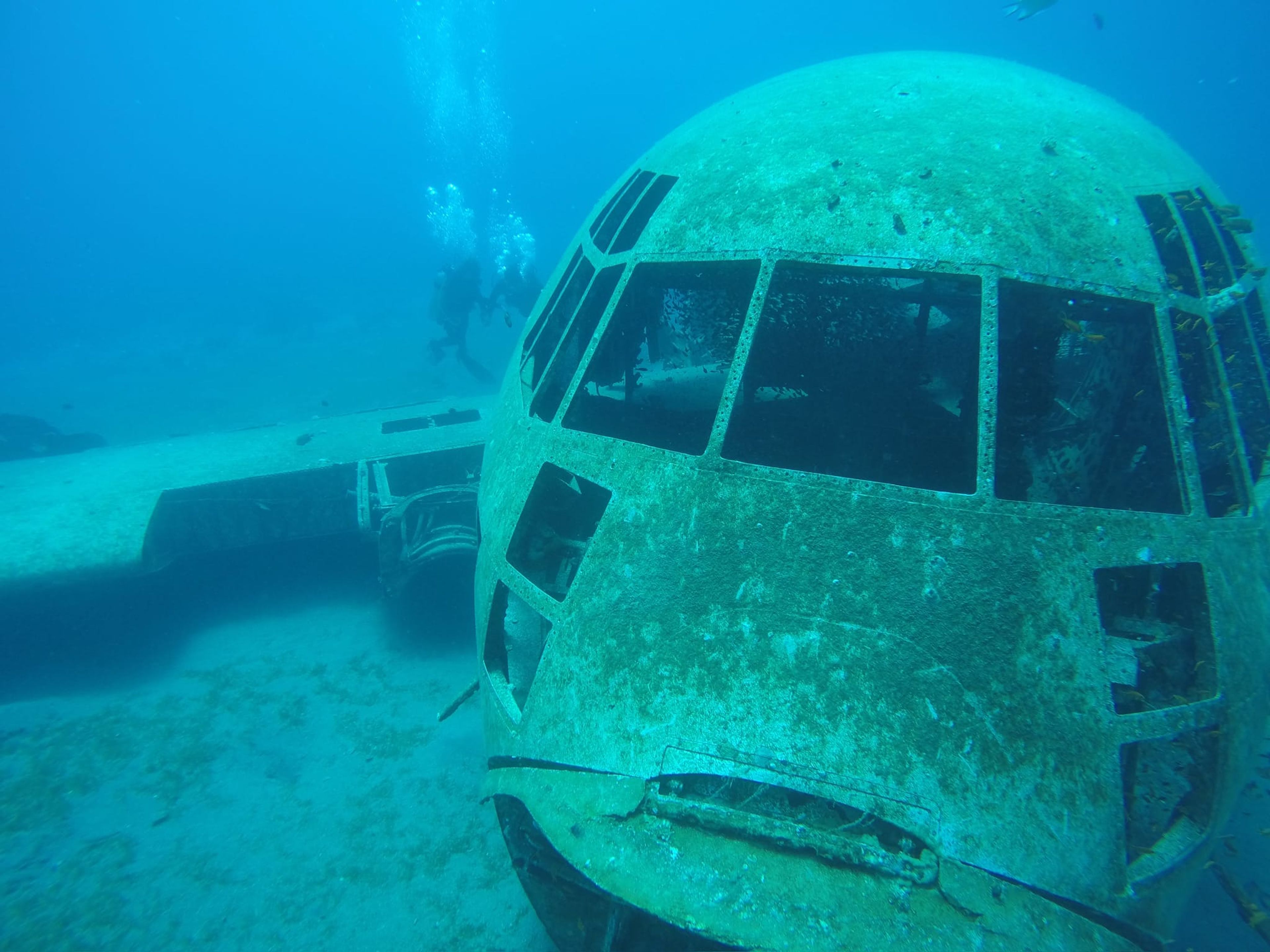 Aqaba Dive 2: Tank & Hercules C-130 
