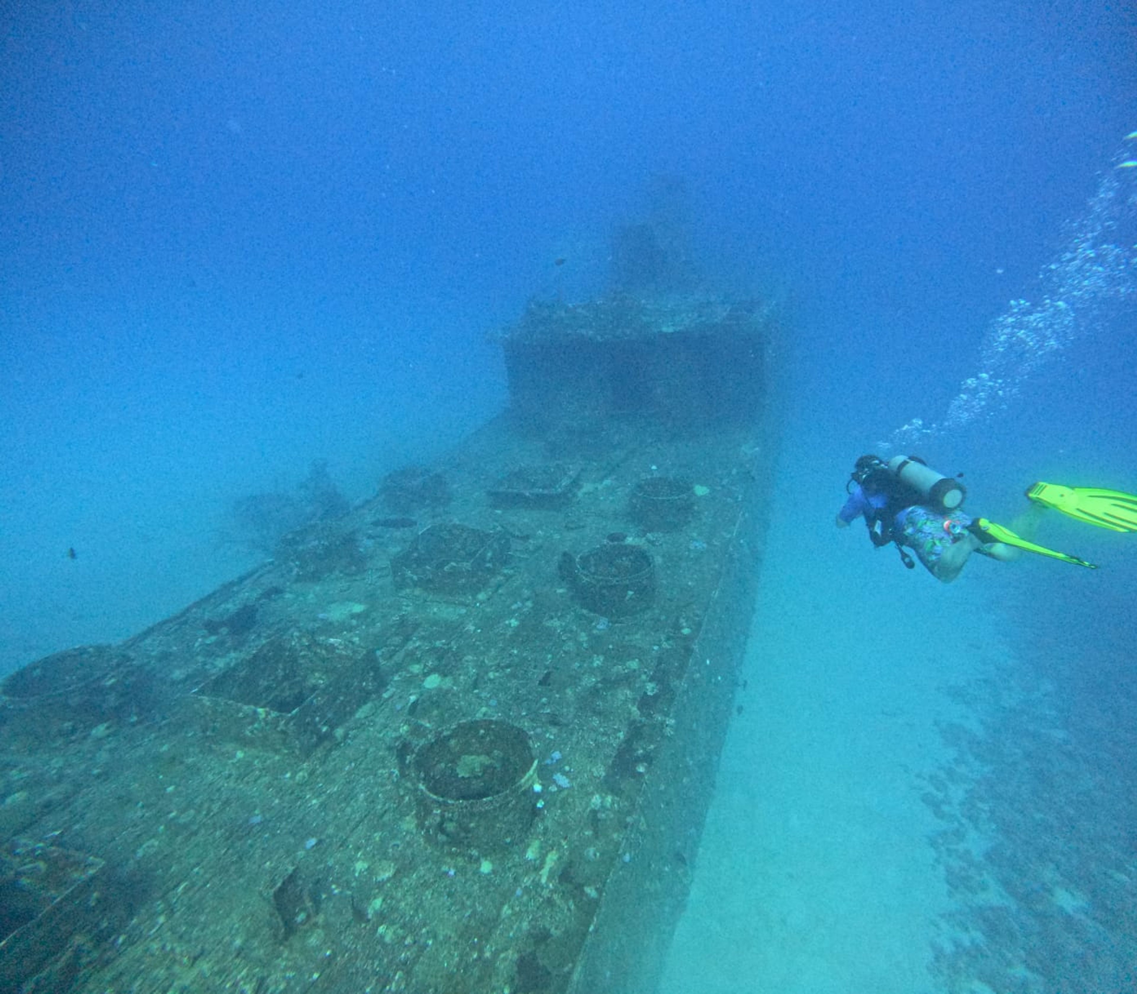 Adventure Elective Dive 1