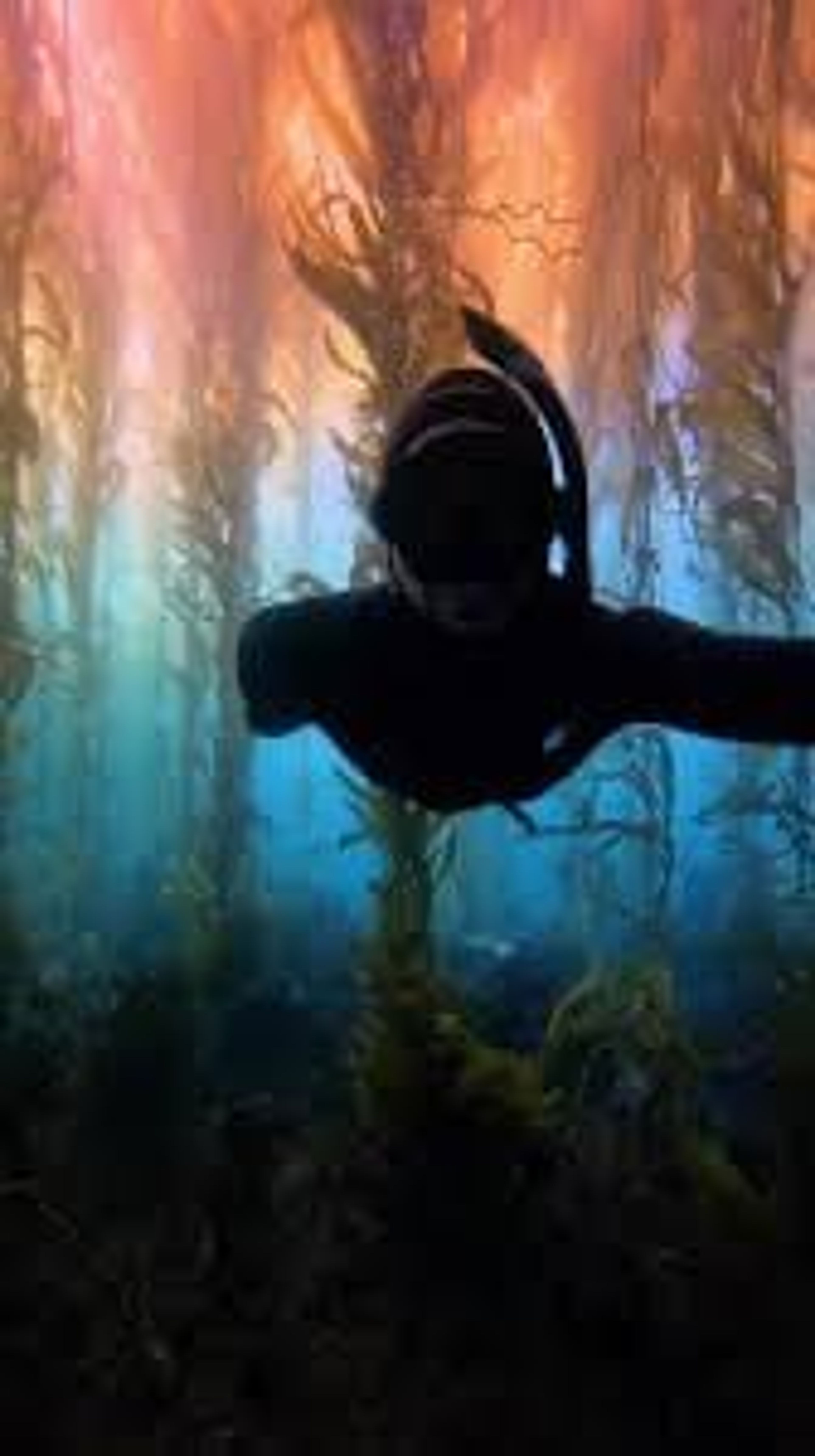 Freediving 