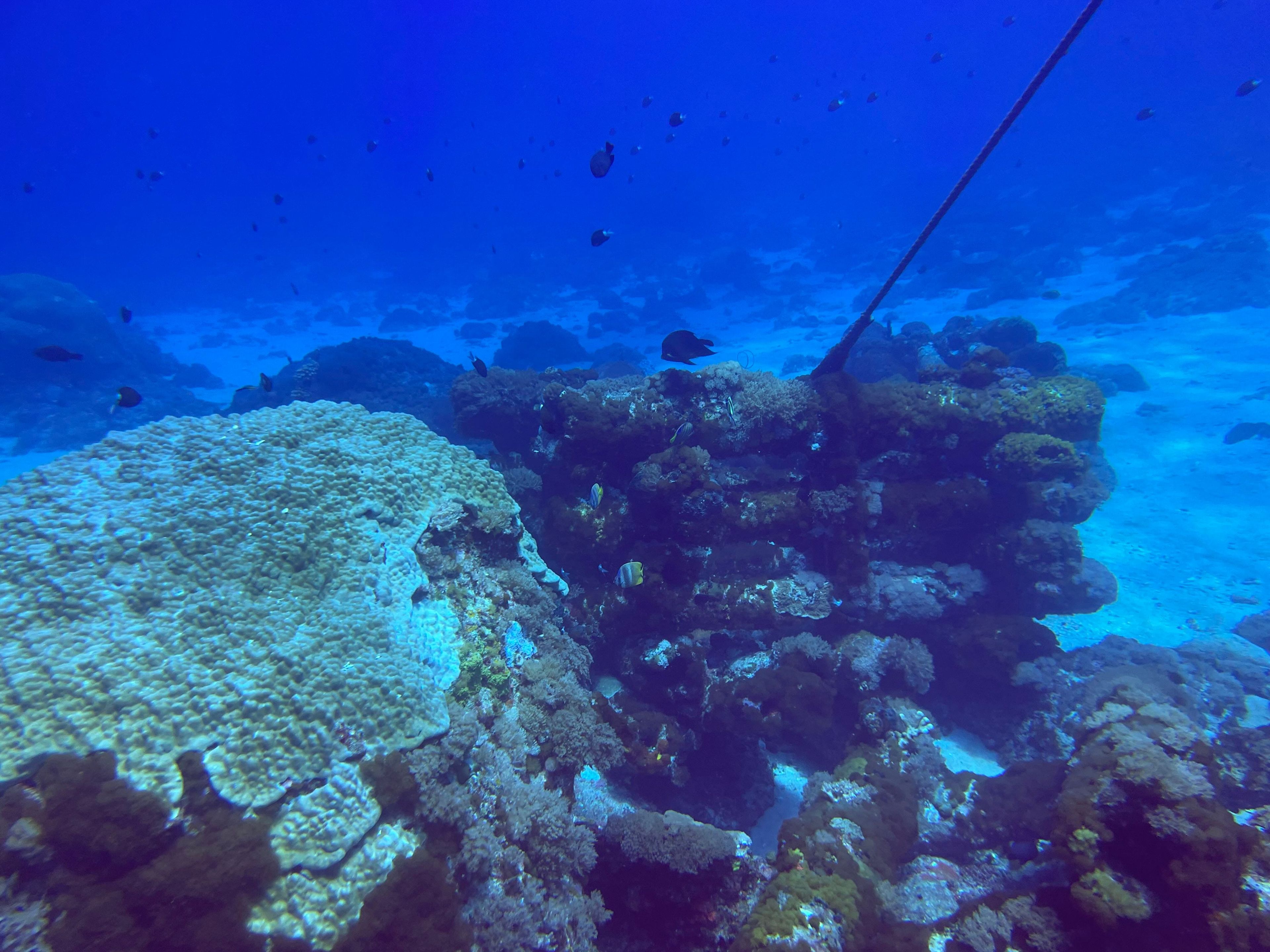 綠島鄉 單氣體潛水