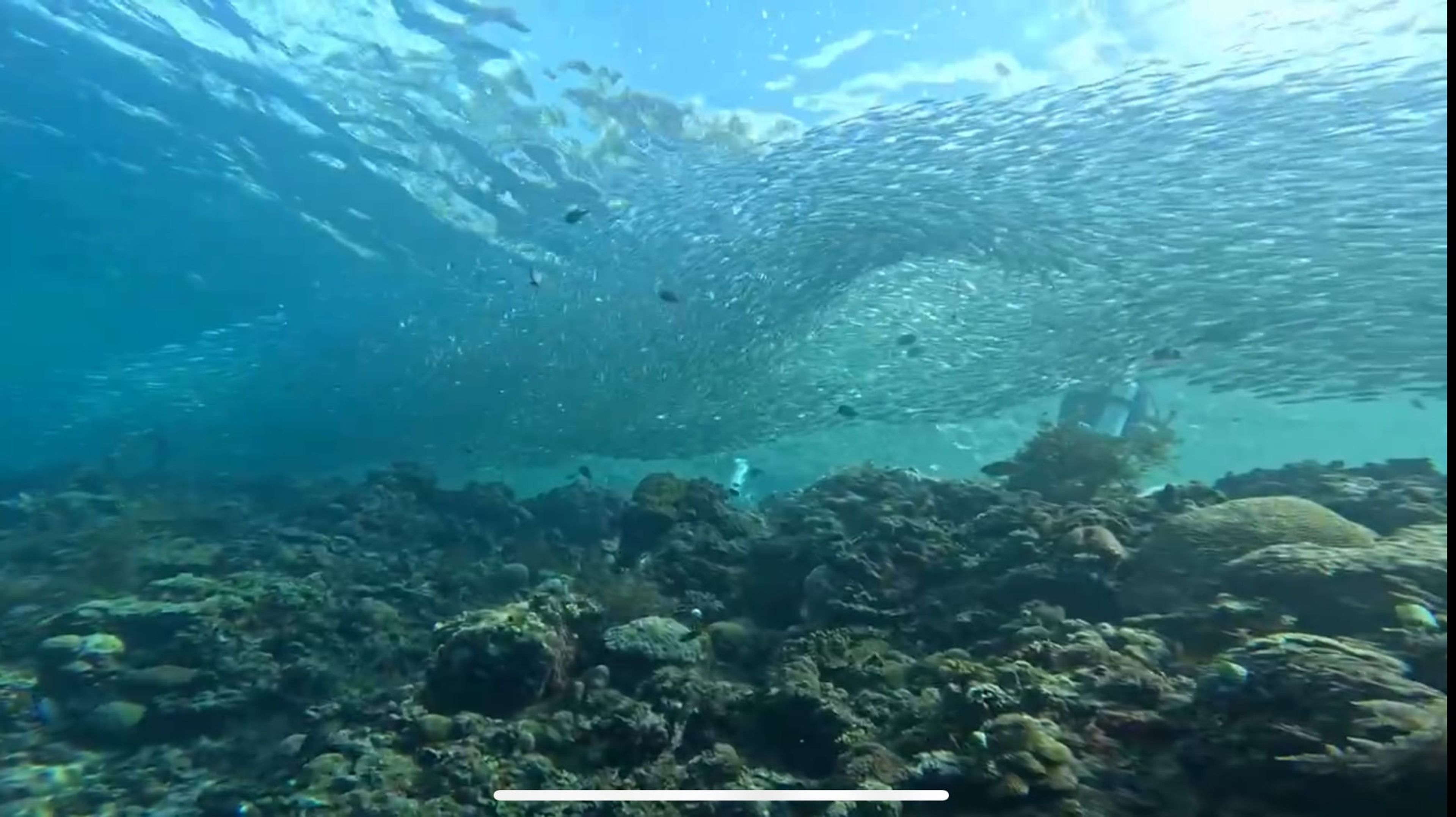 Panglao 單氣體潛水