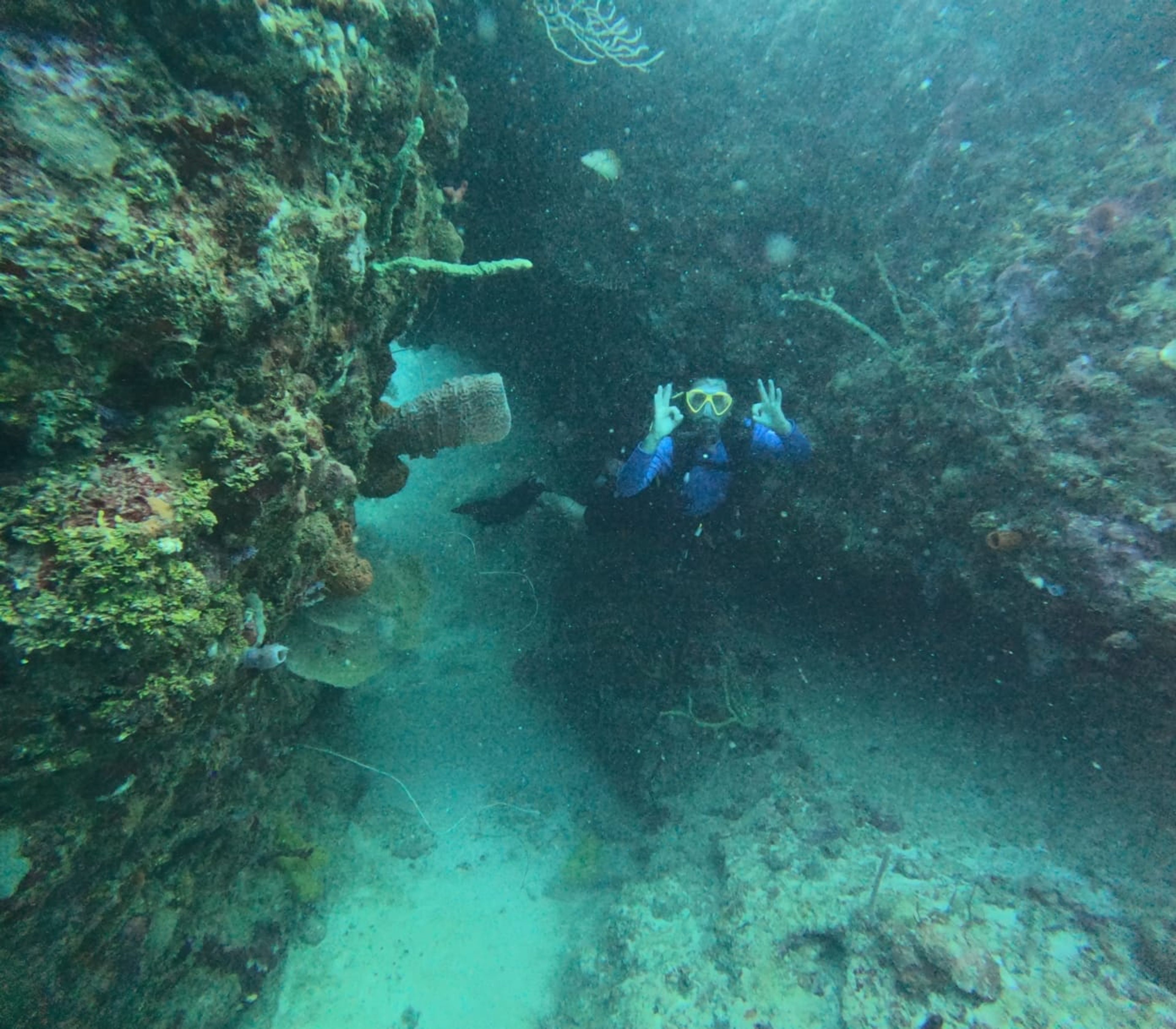 Jacobo Guerra's dive log