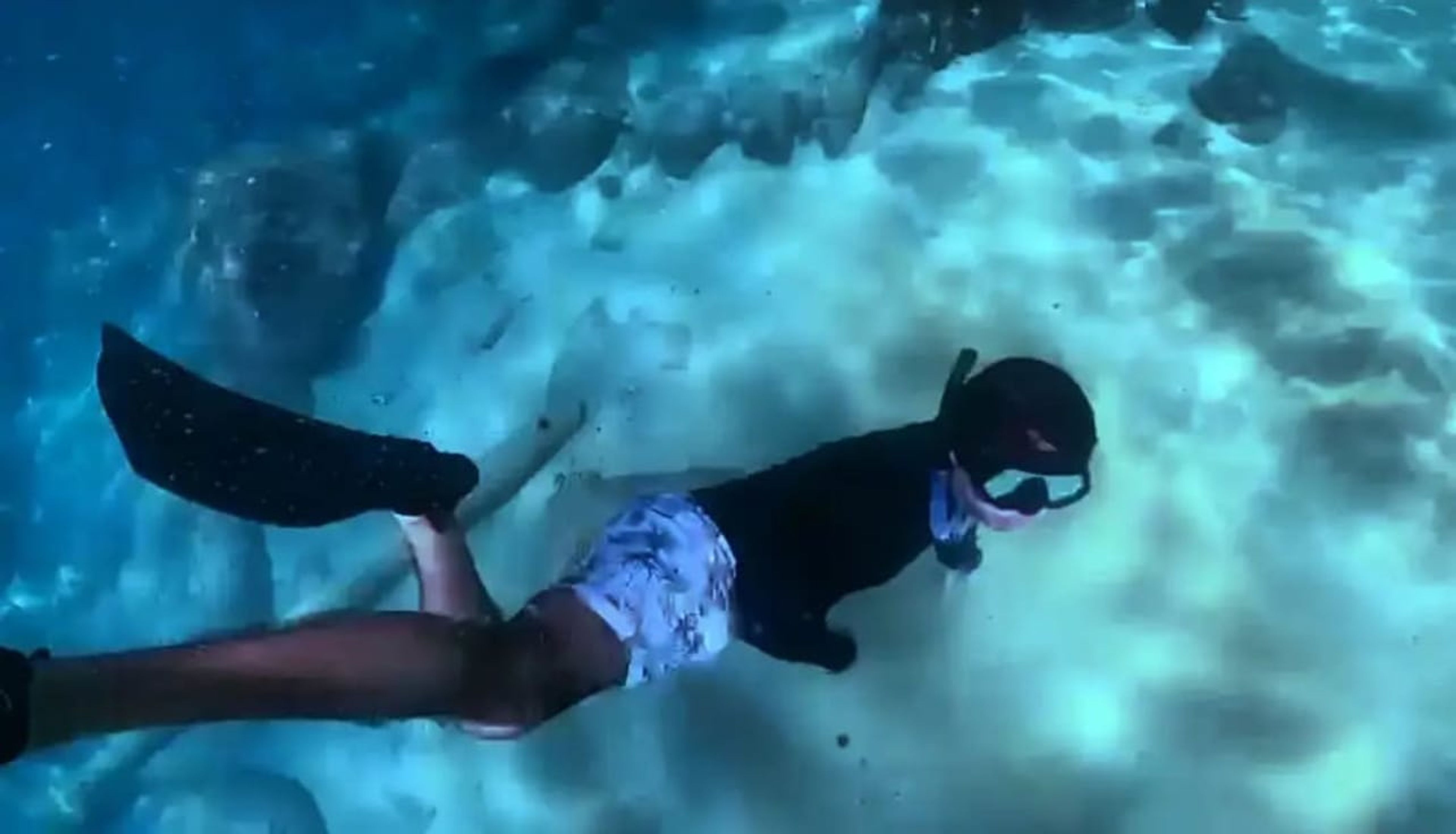 Salvador Sandoval's dive log