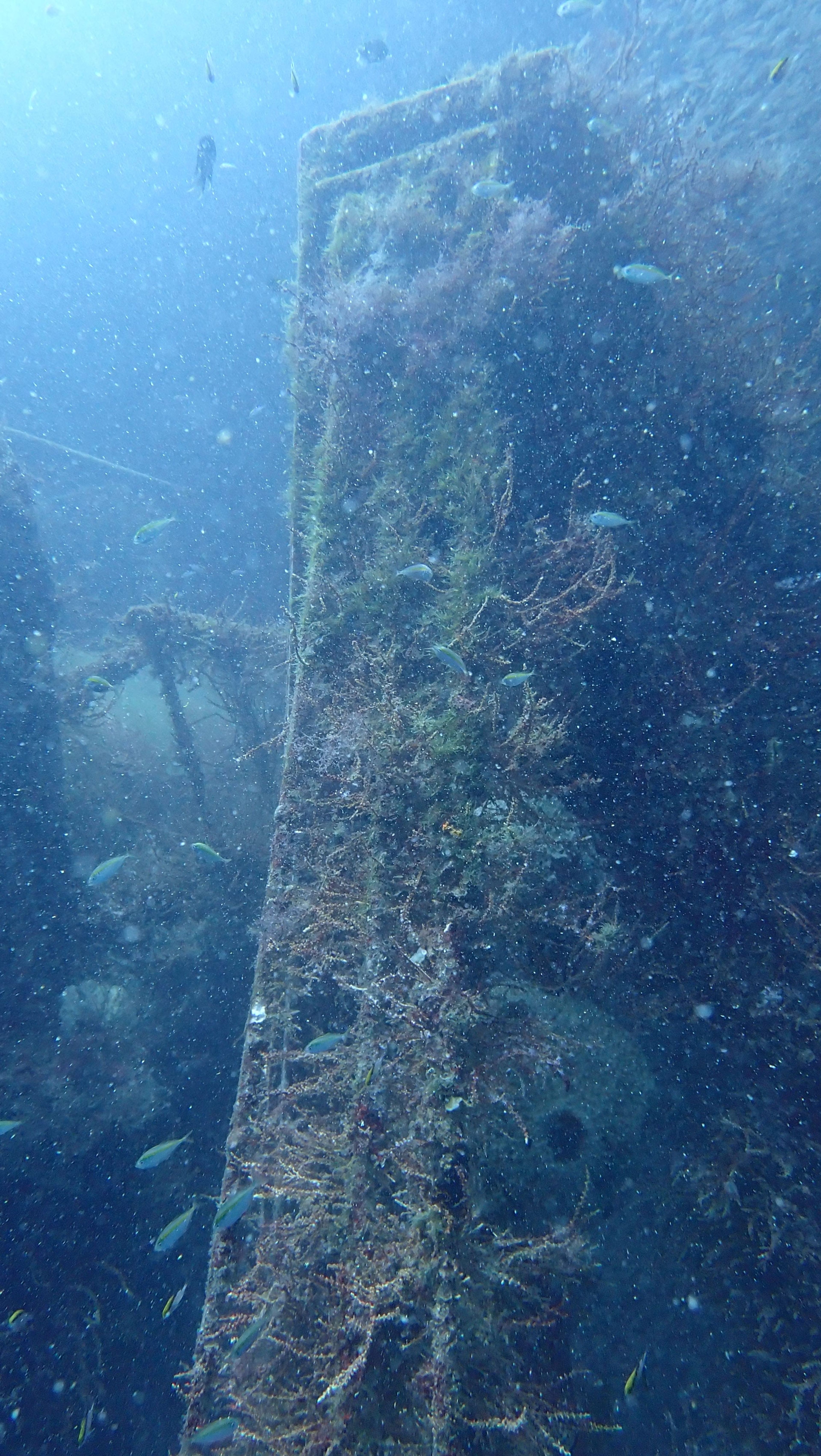 Oceanic+