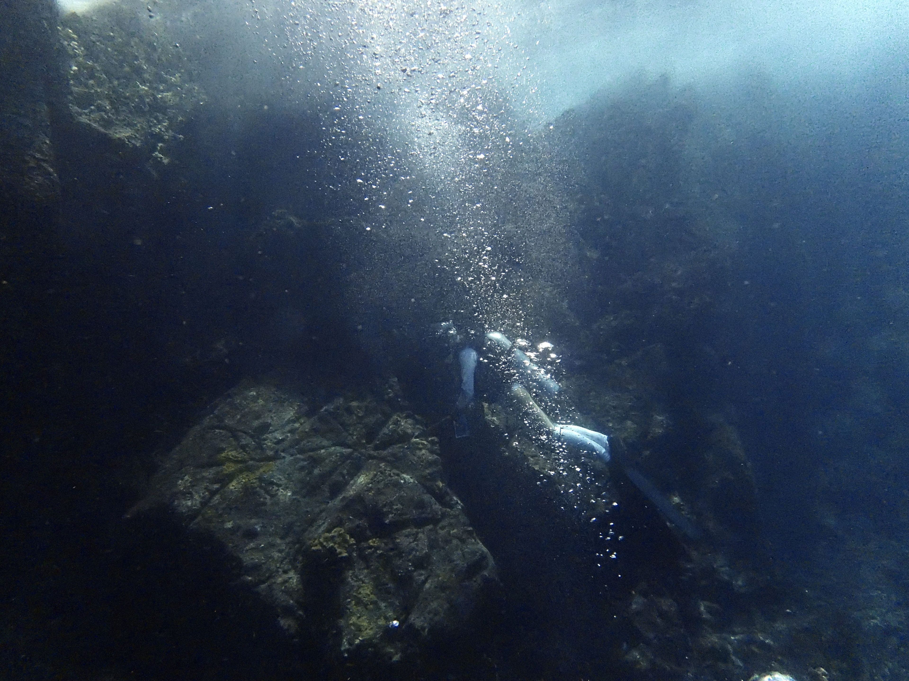 Scuba diving at Three Trees