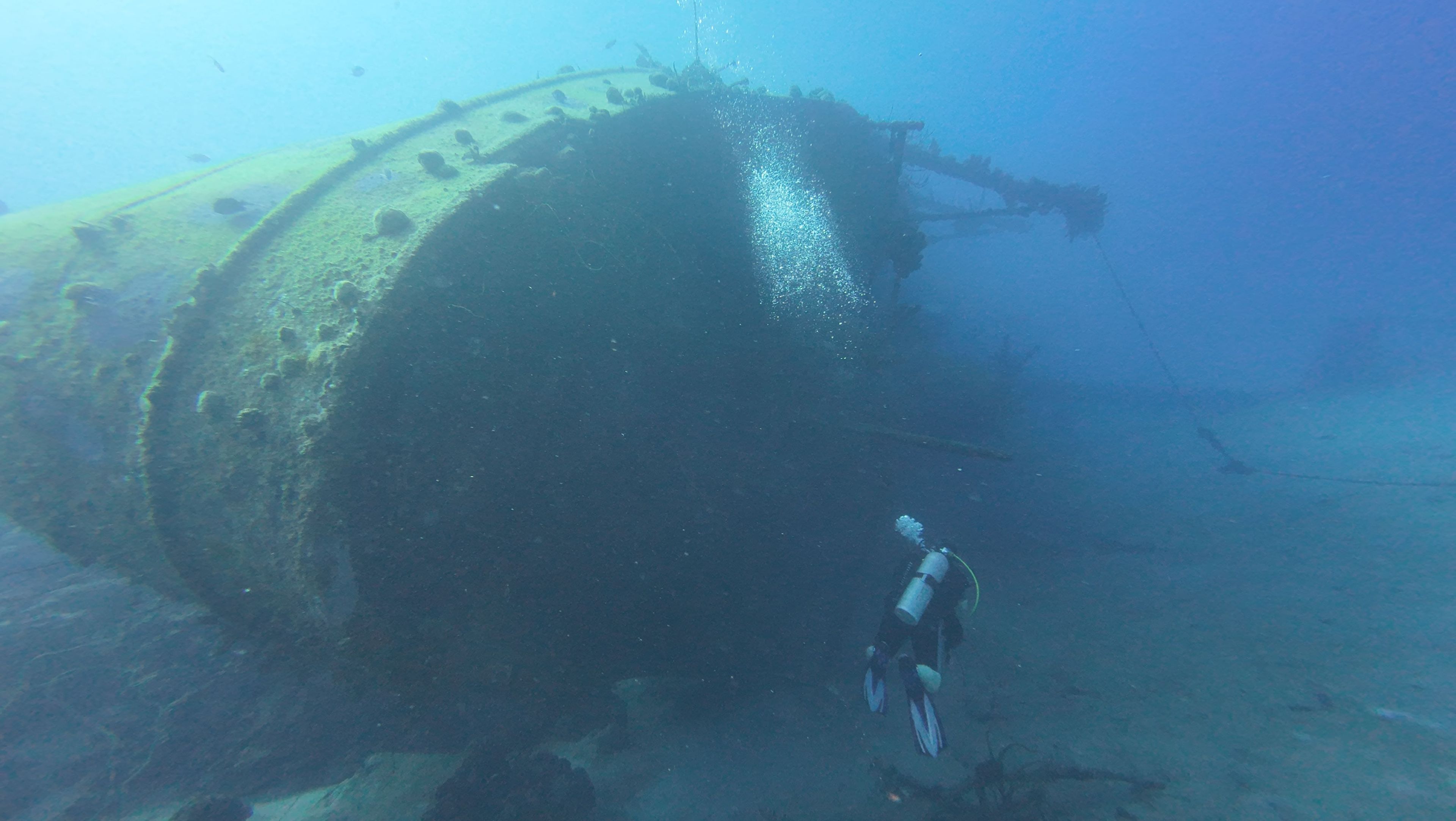 Wilma Hooker wreck