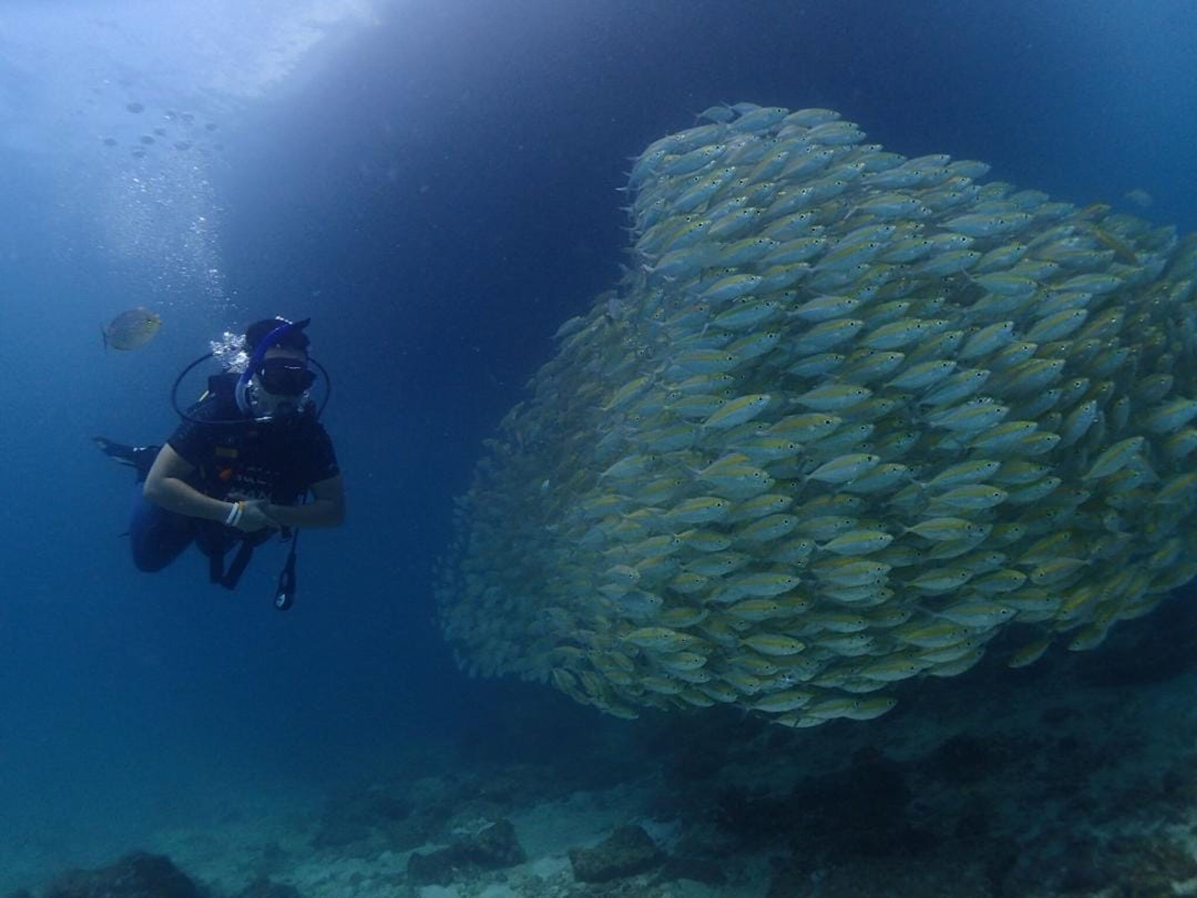 Scuba diving at Bungalow Bay, Racha Yai