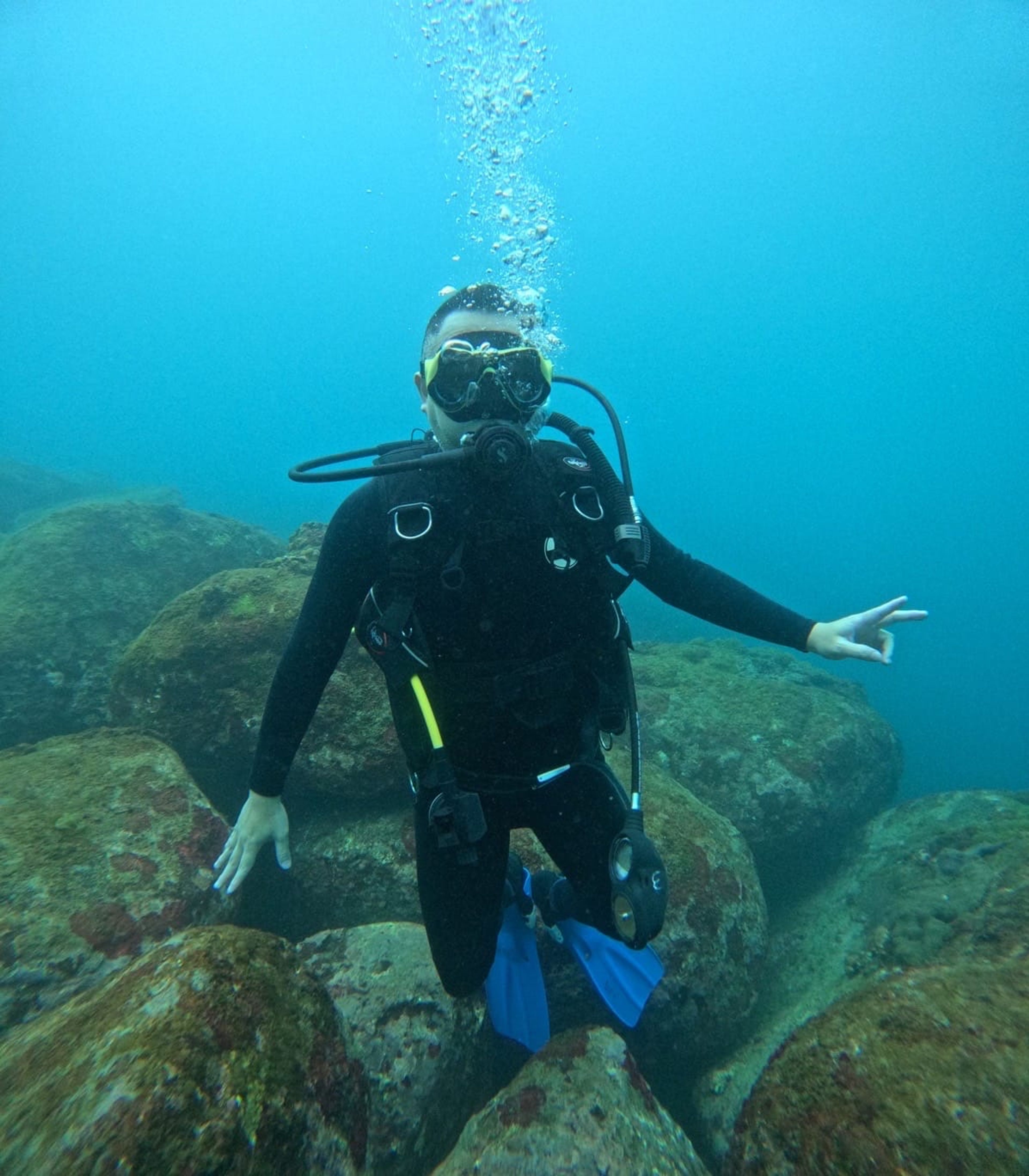 Scuba diving at 龍洞灣4號潛點-和美國小