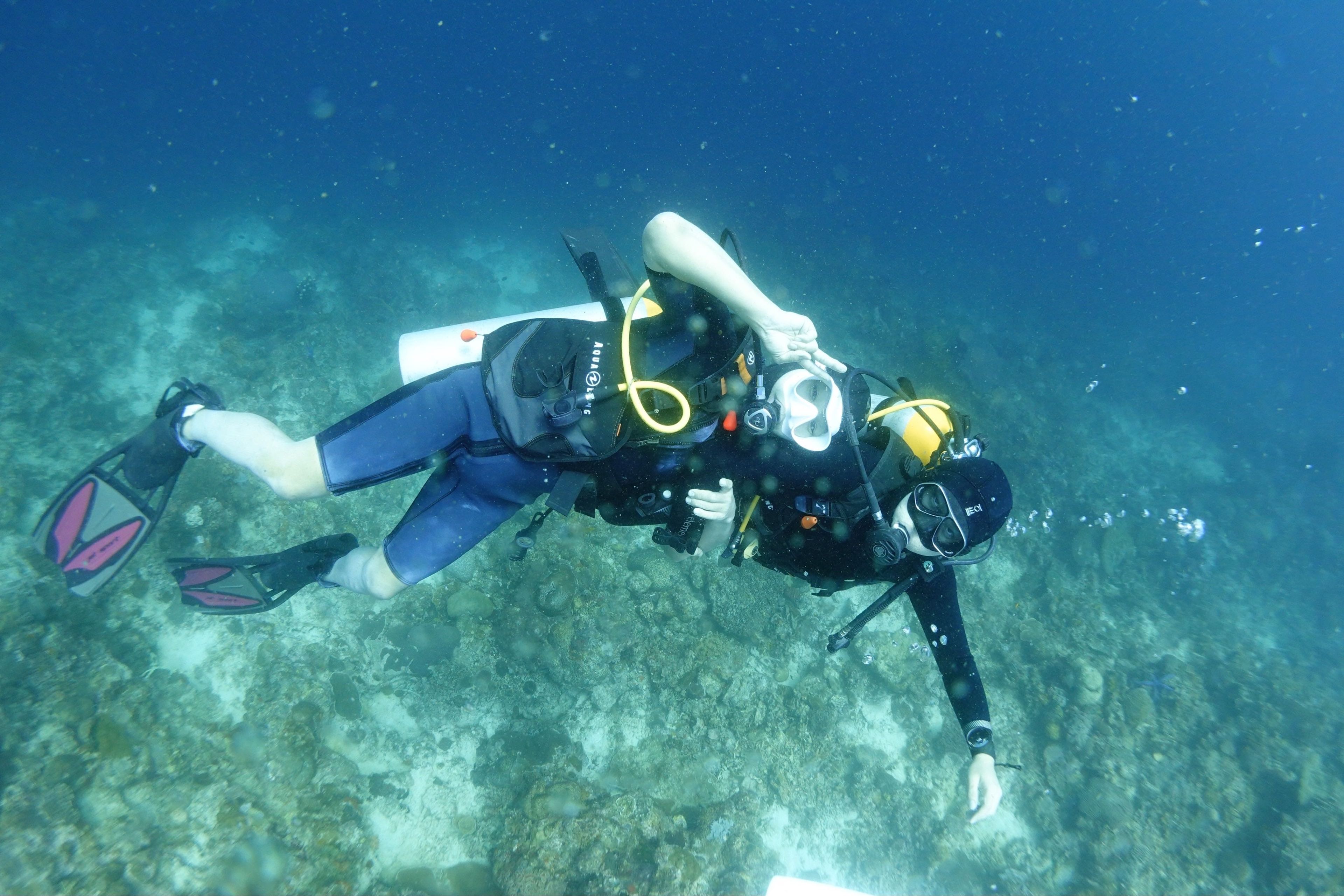 kyungdong kim's dive log