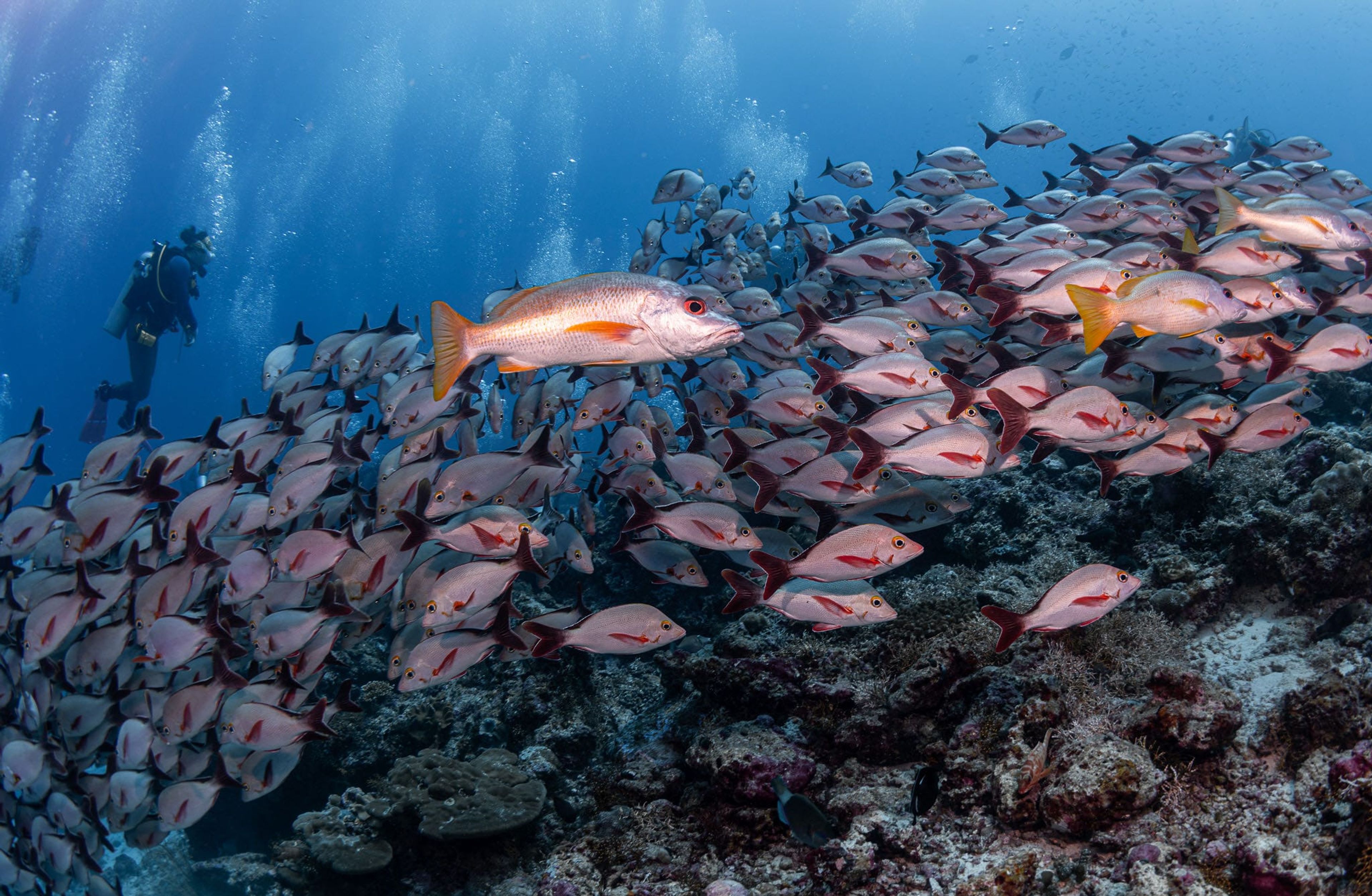 Moofushi Rock