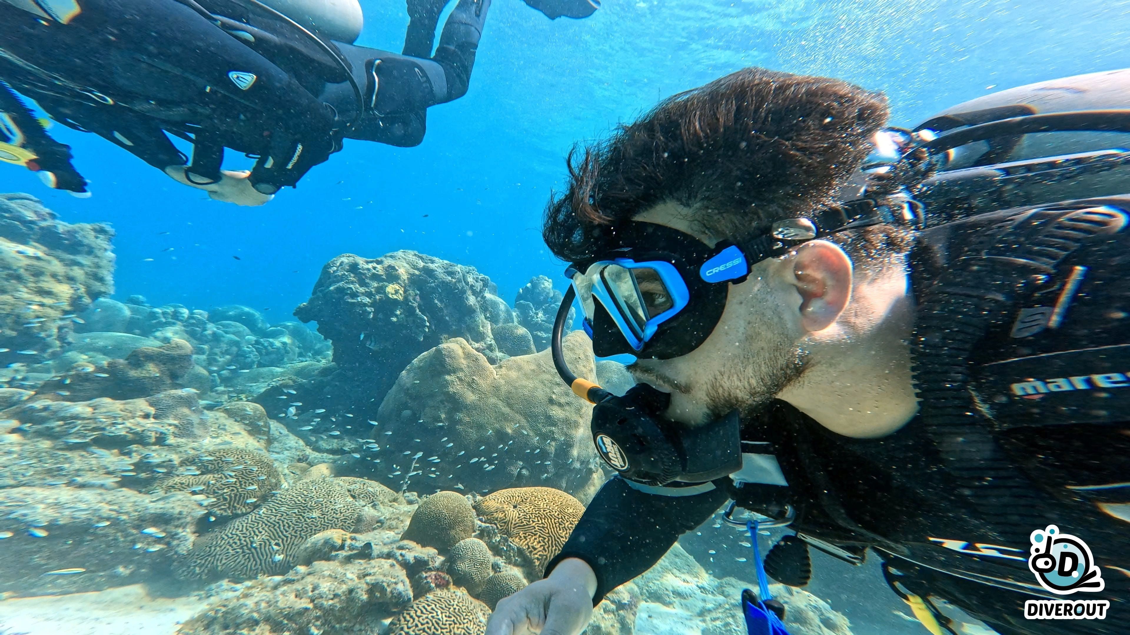 Isla Lobos