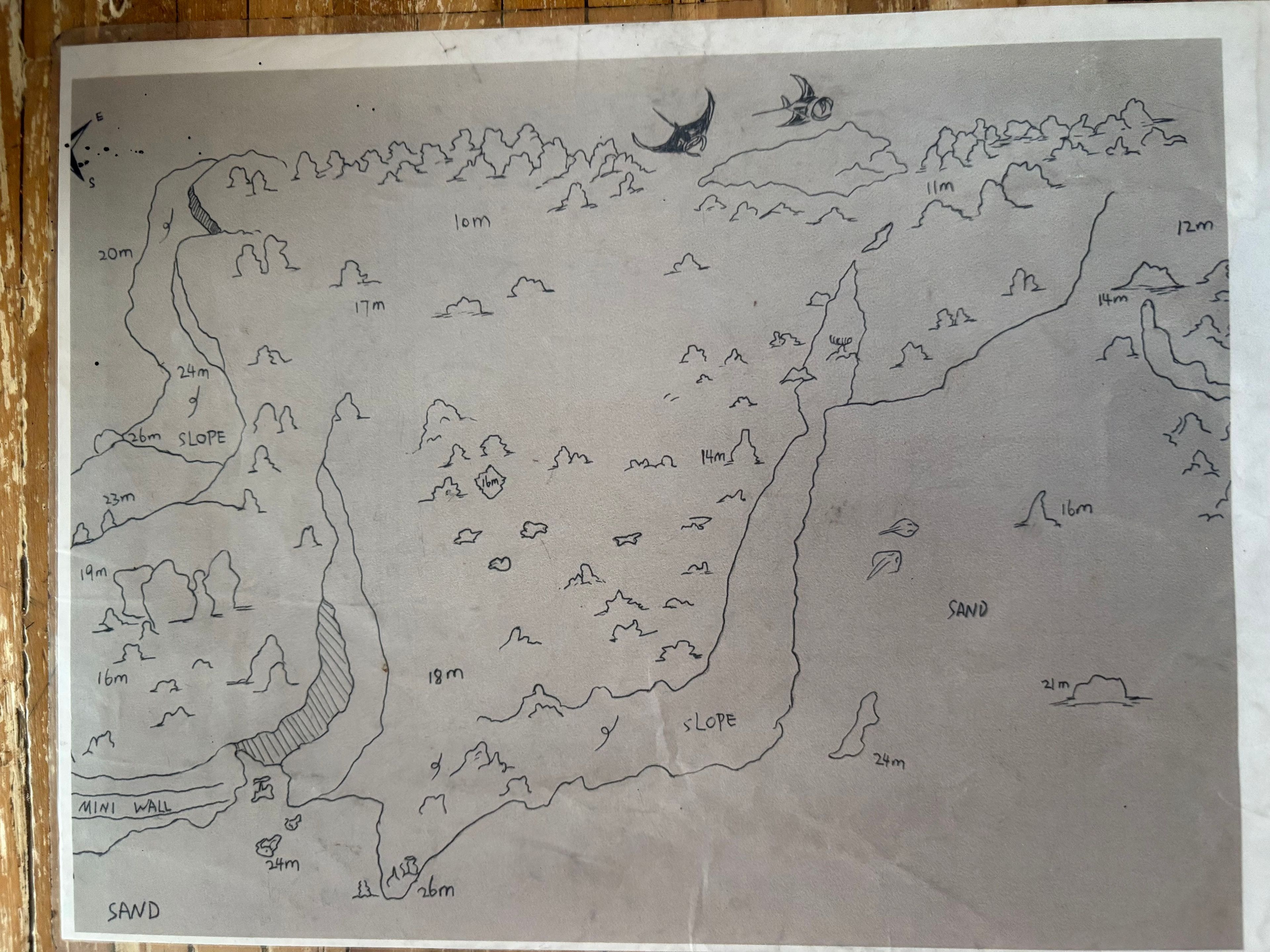 Manta Point
