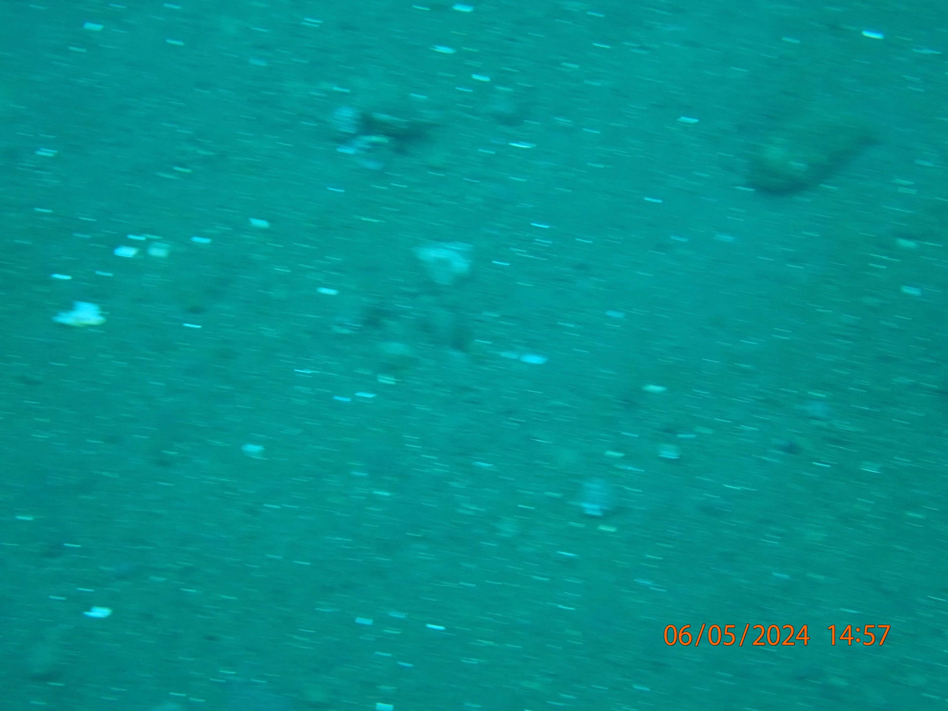Oceanic+
