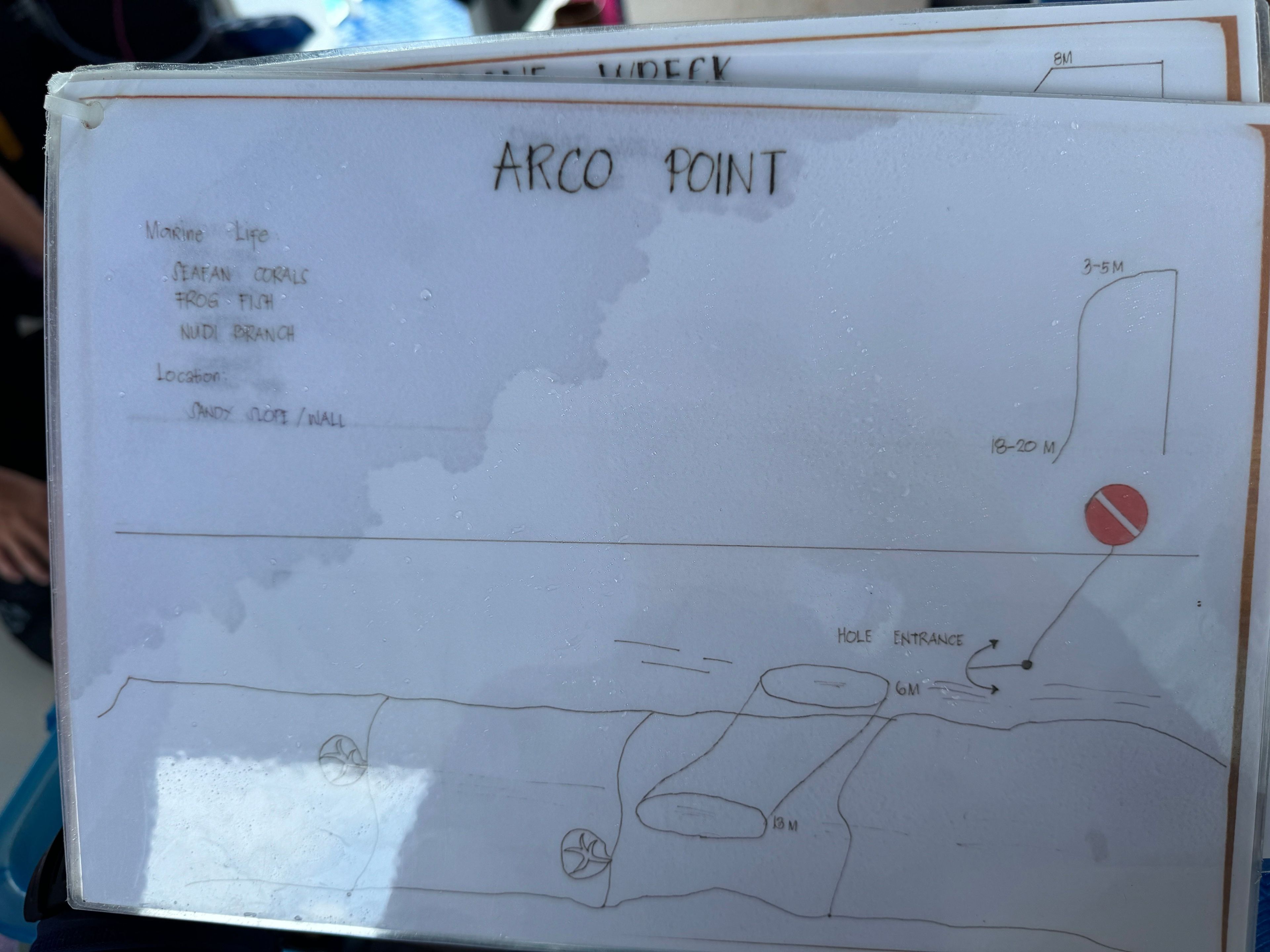 薄荷島