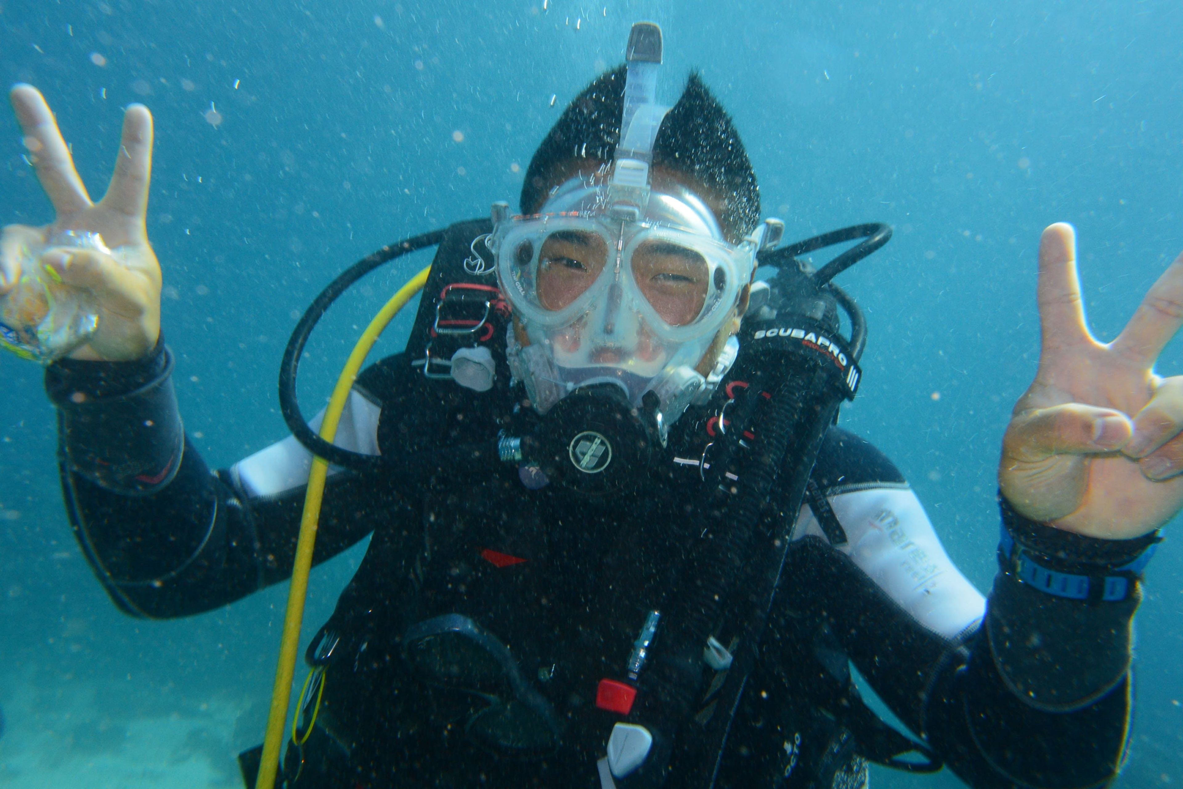 Scuba diving at Coral Gardens