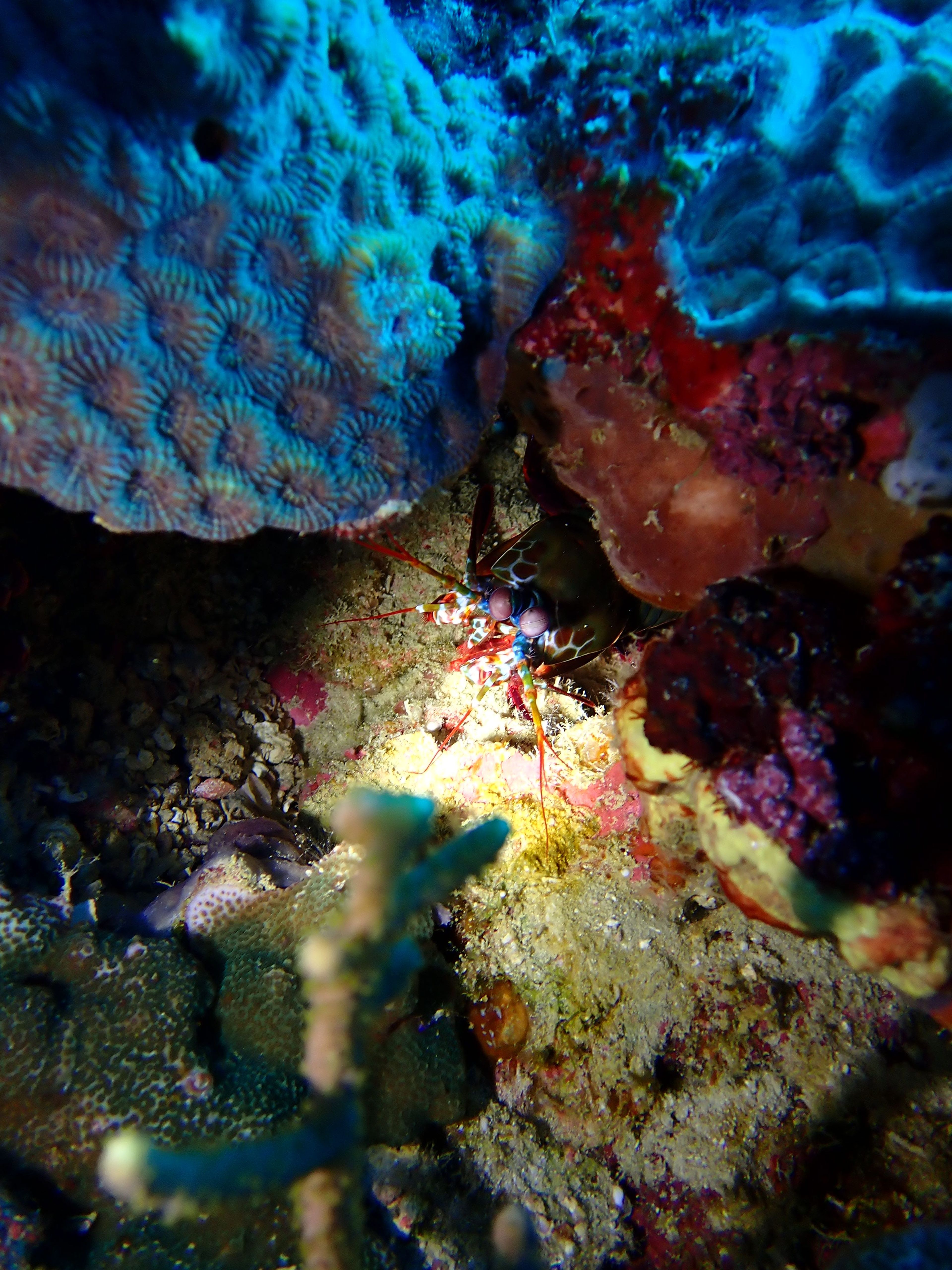 Punta Bunga