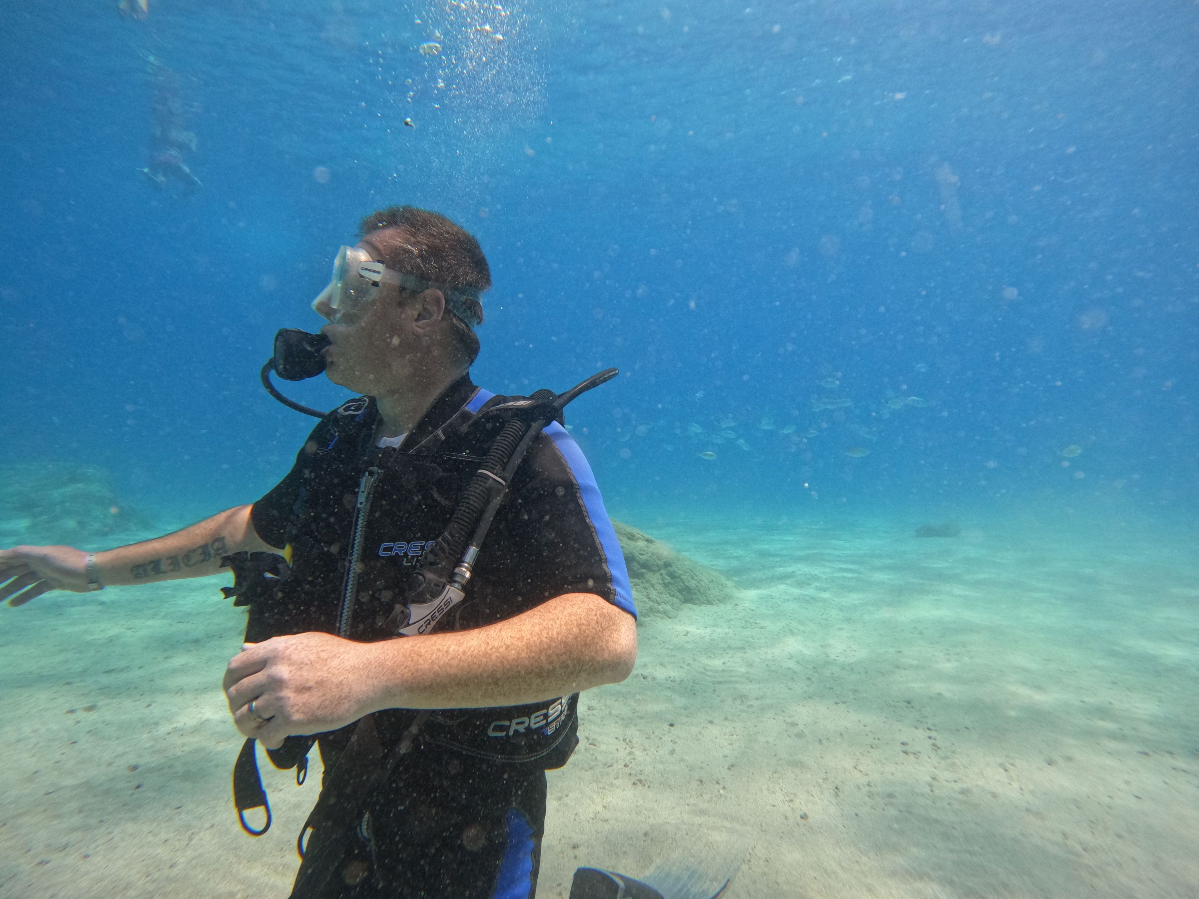 Diver#cfoster3364