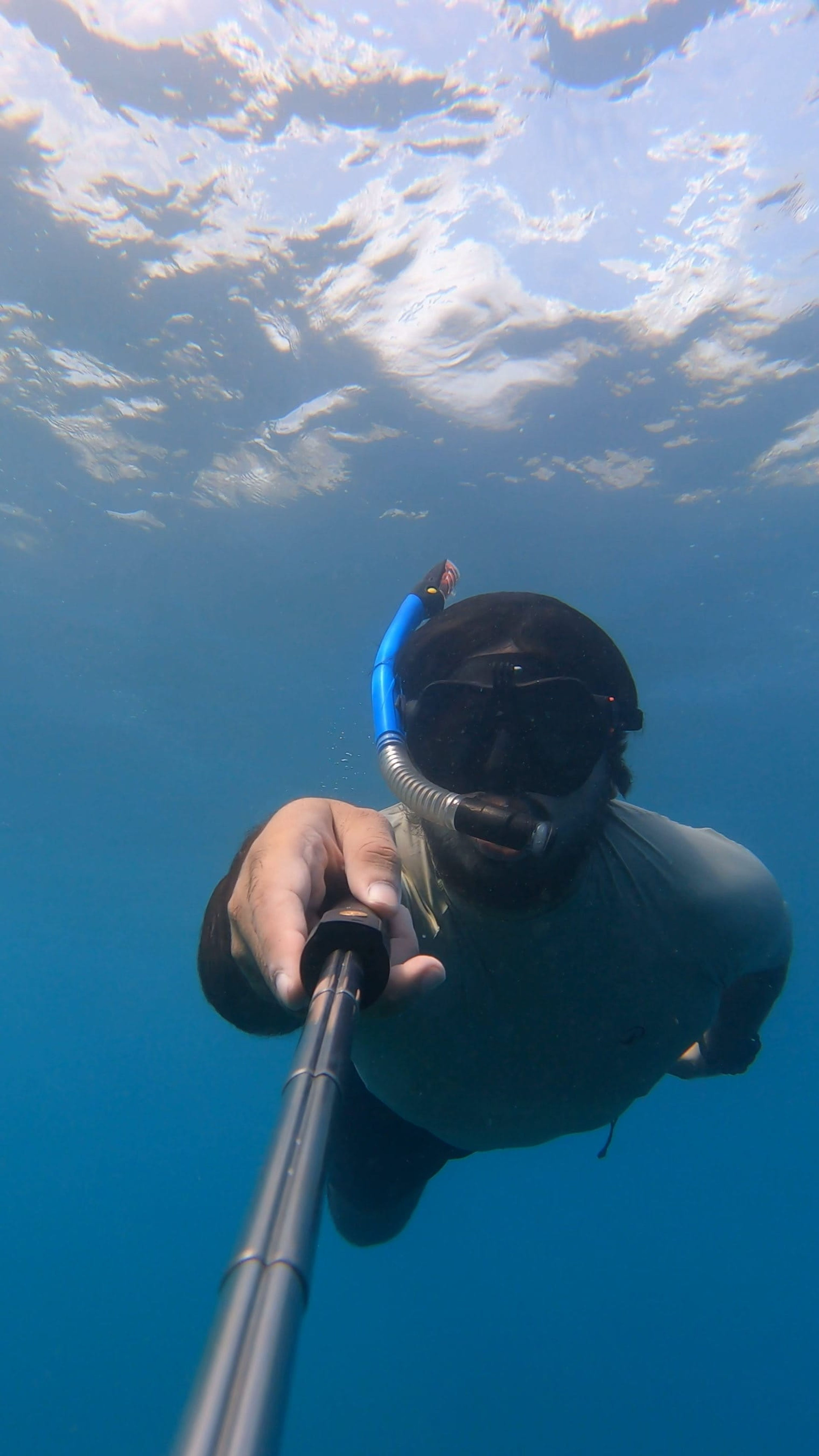 Salvador Sandoval's dive log