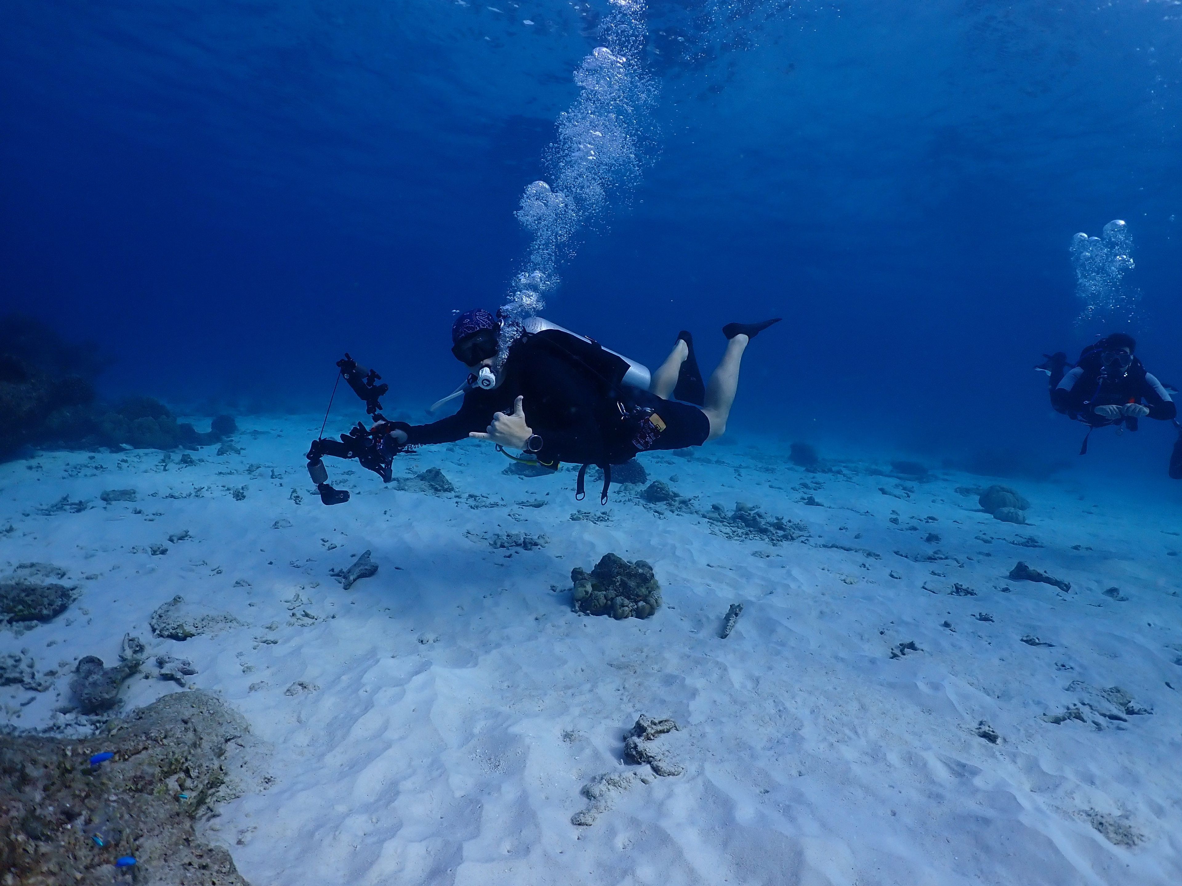The Phinisi Day 1: Dive 1
