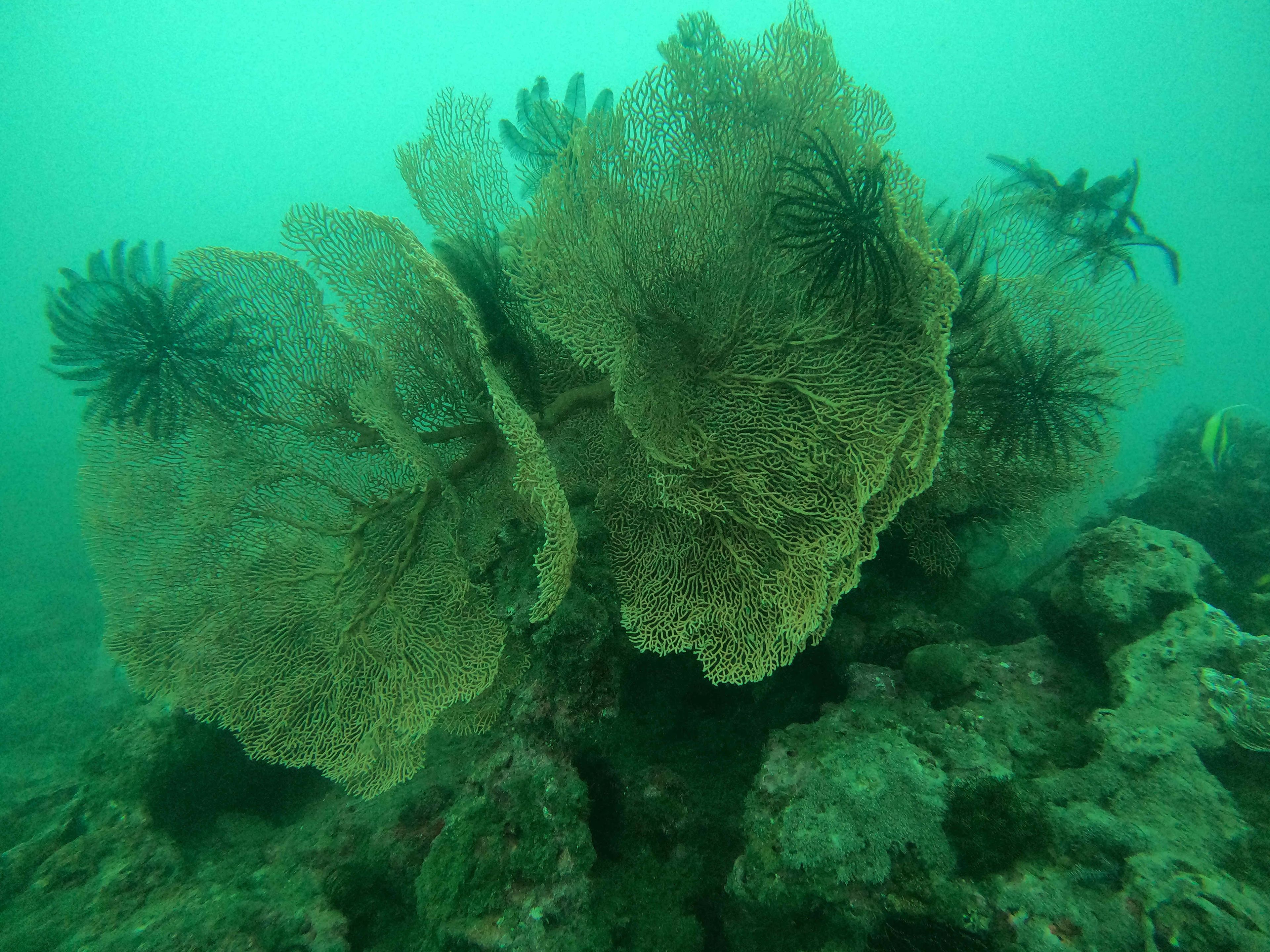 水泥廠（深潛）