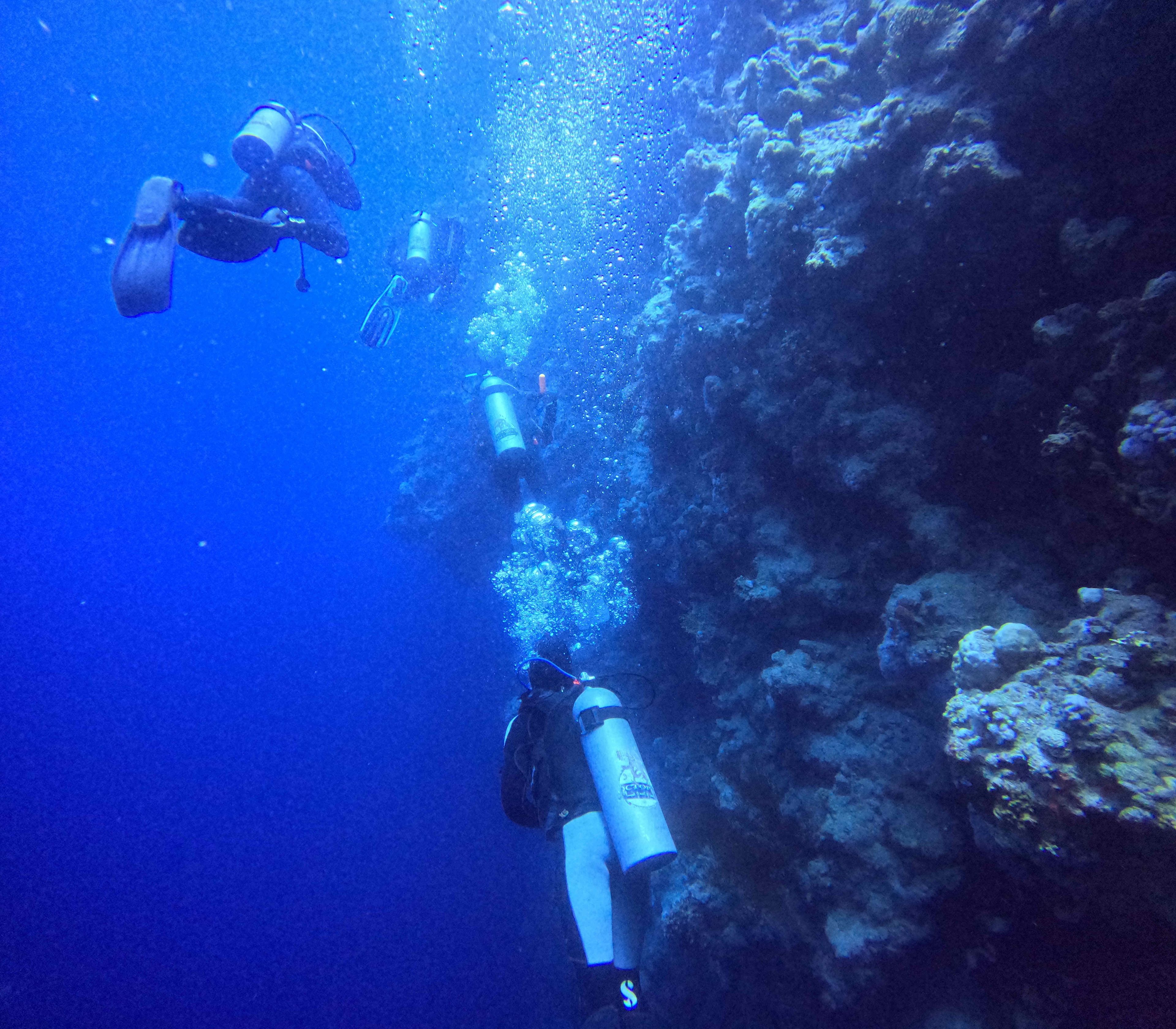 Oceanic+