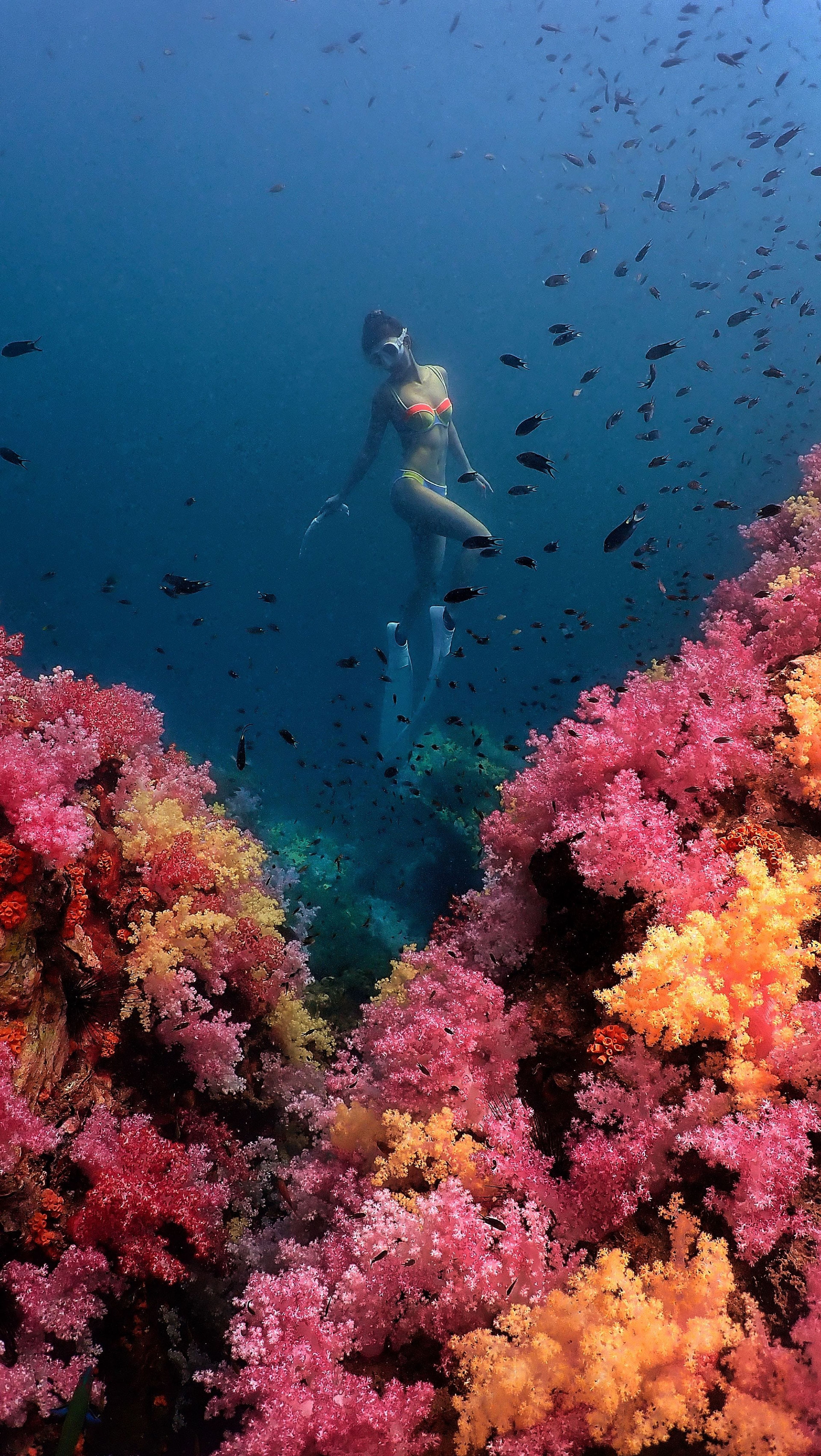 Guide Unn Photographer's dive log