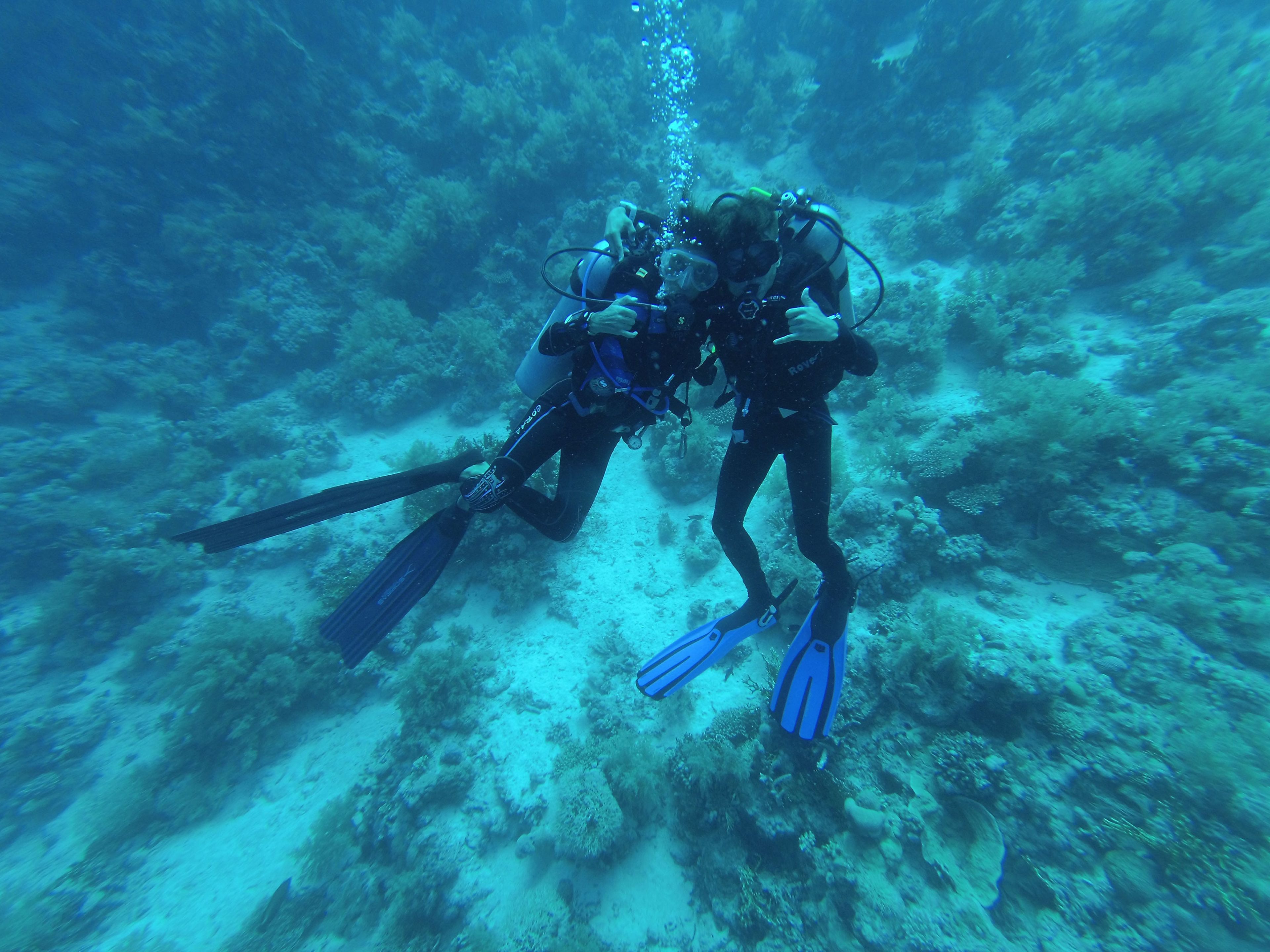 Jackfish Alley
