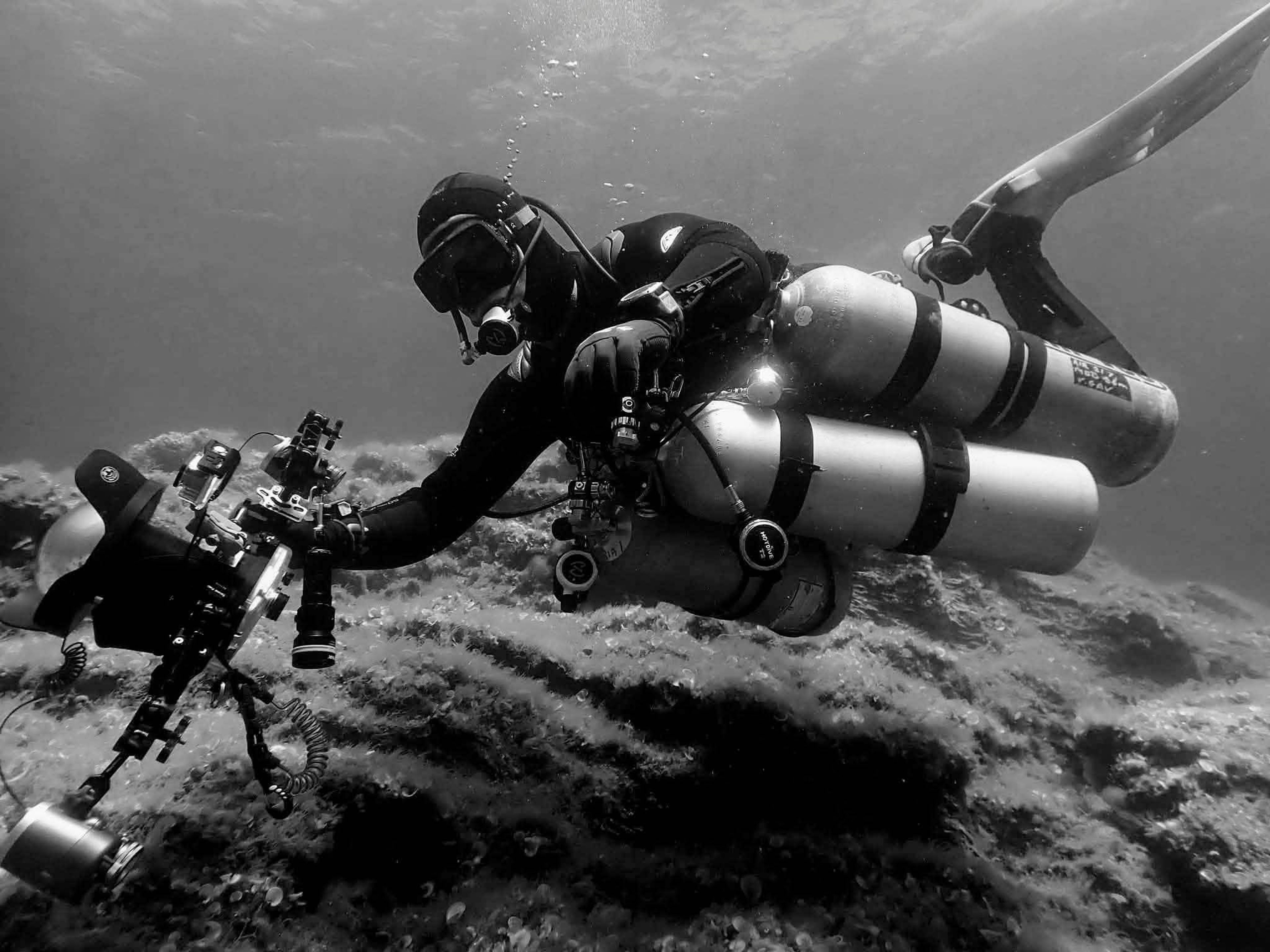 Never's dive log
